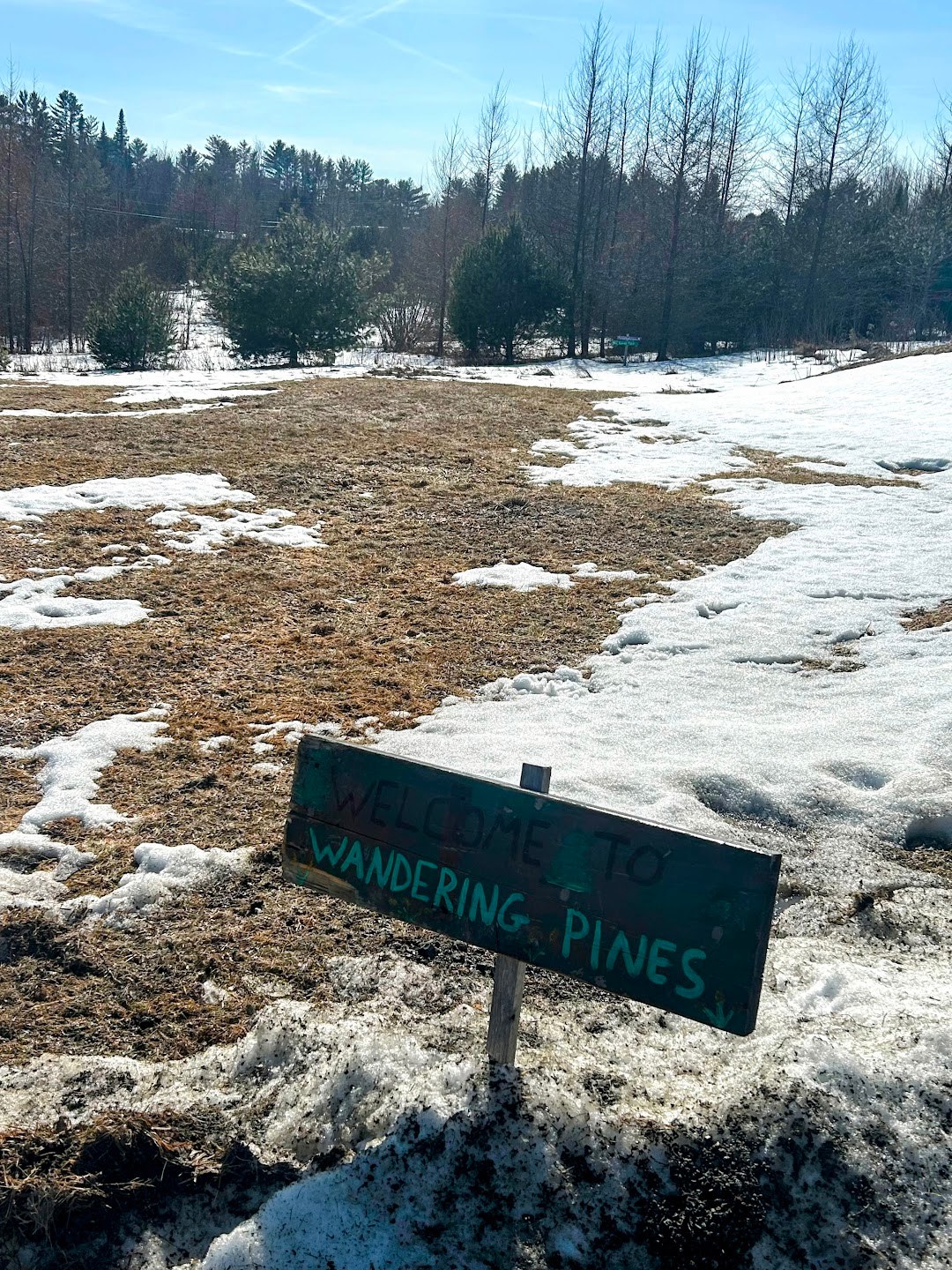 Wandering Pines Camping