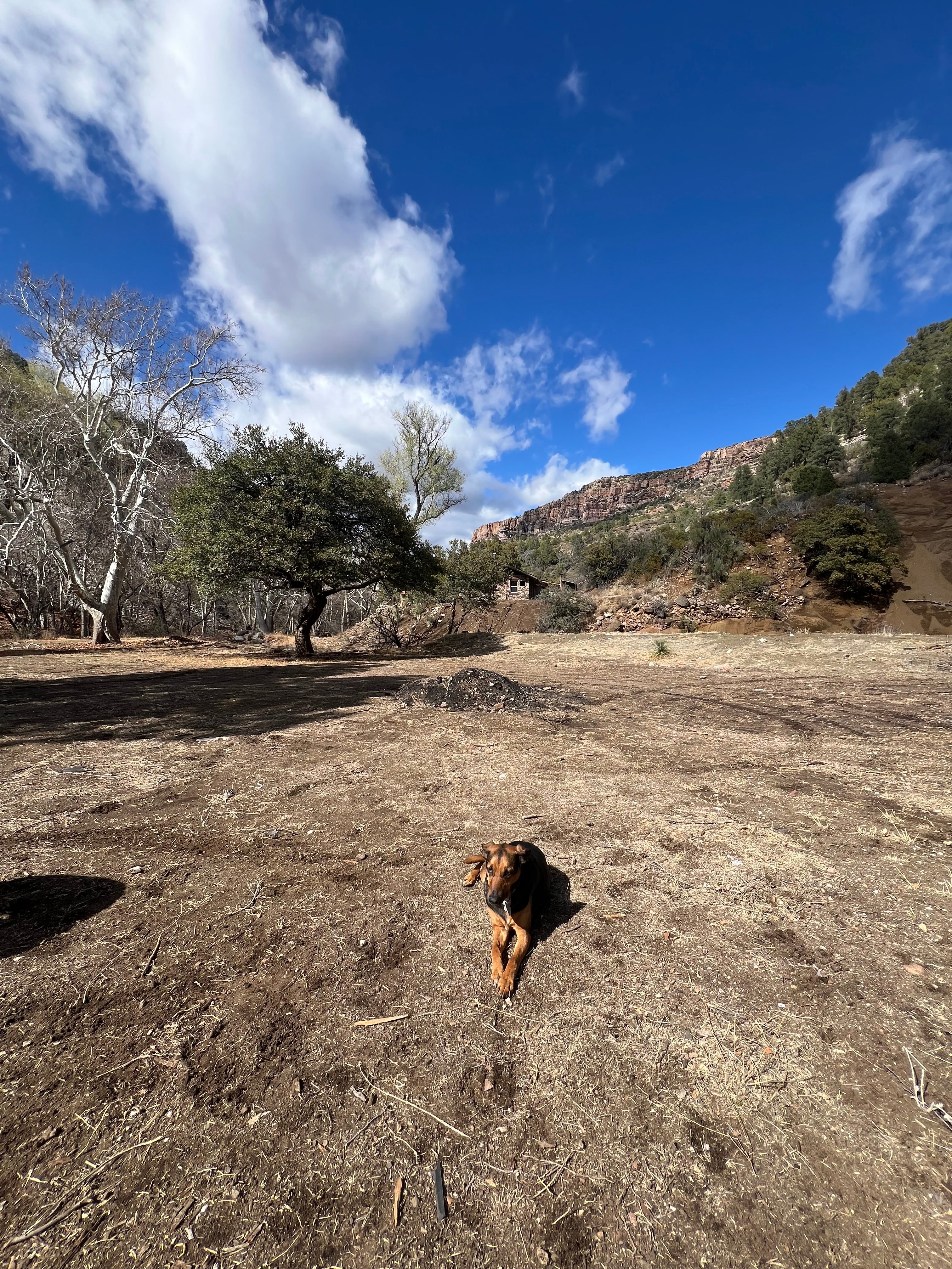 Ash Creek: Canyon Views & History