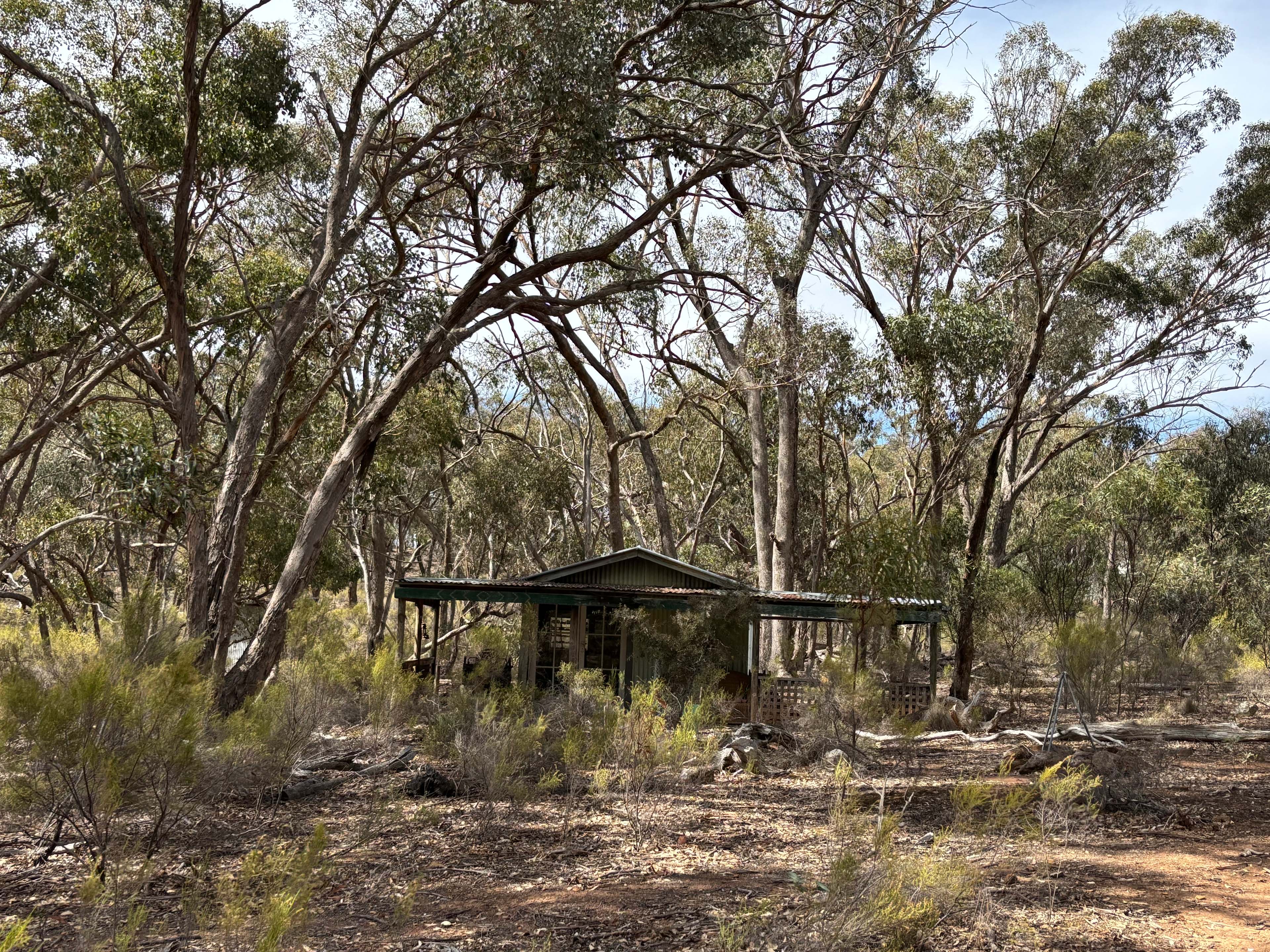 Hut Amongst The Gum Trees