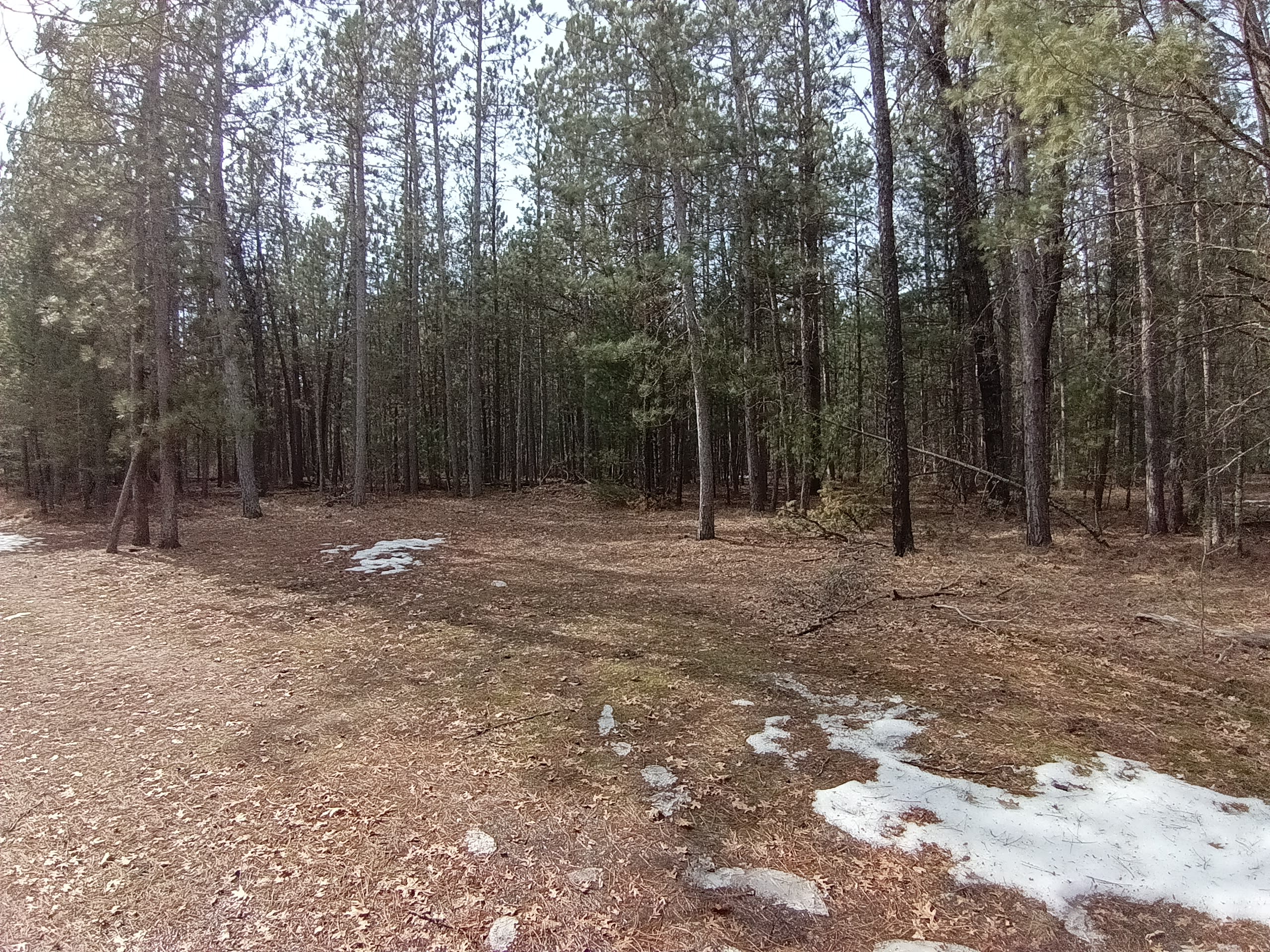 Secluded Woodsy Camp by the River