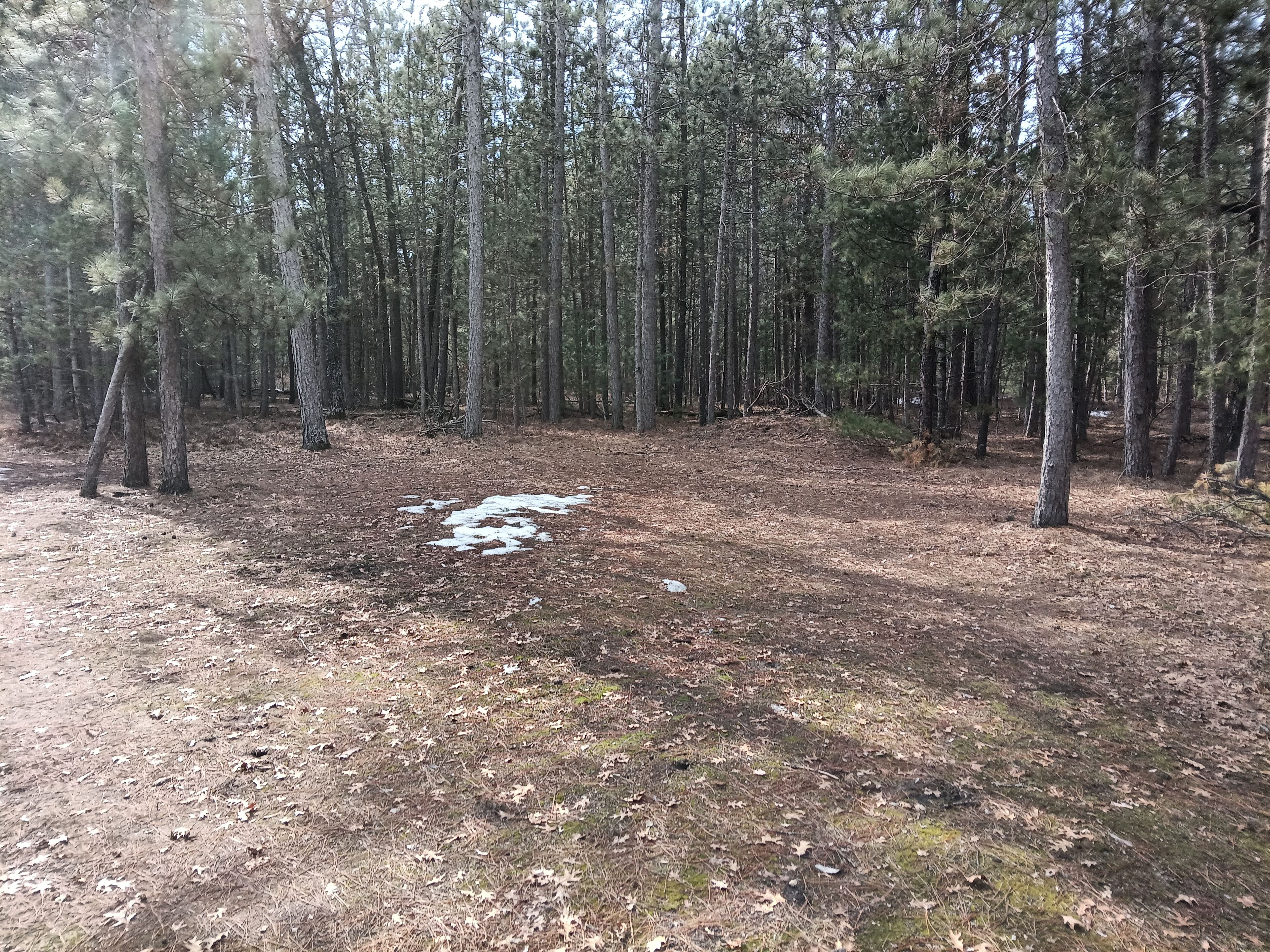 Secluded Woodsy Camp by the River
