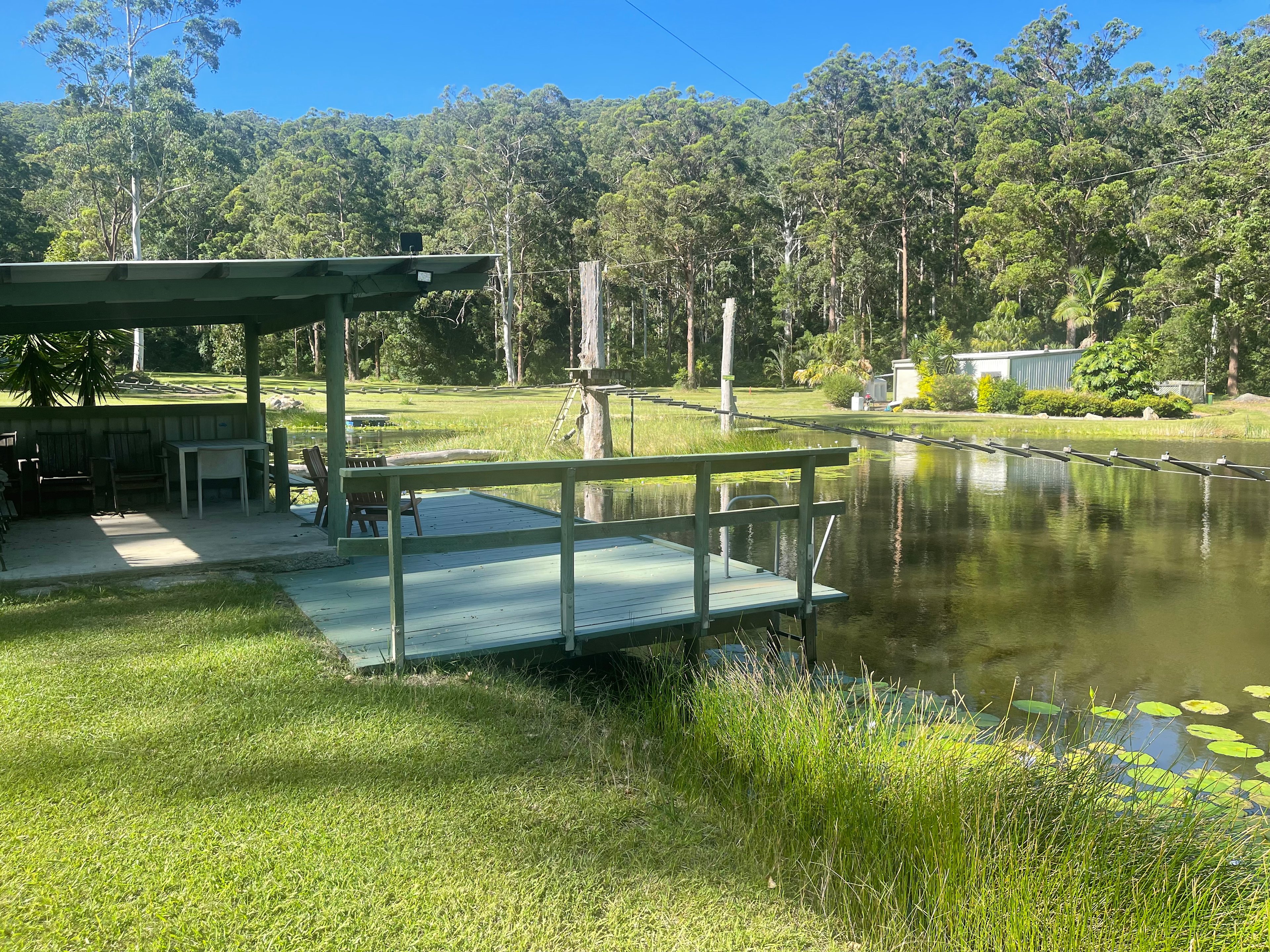 Delhuntie Park -Edens Canopy-