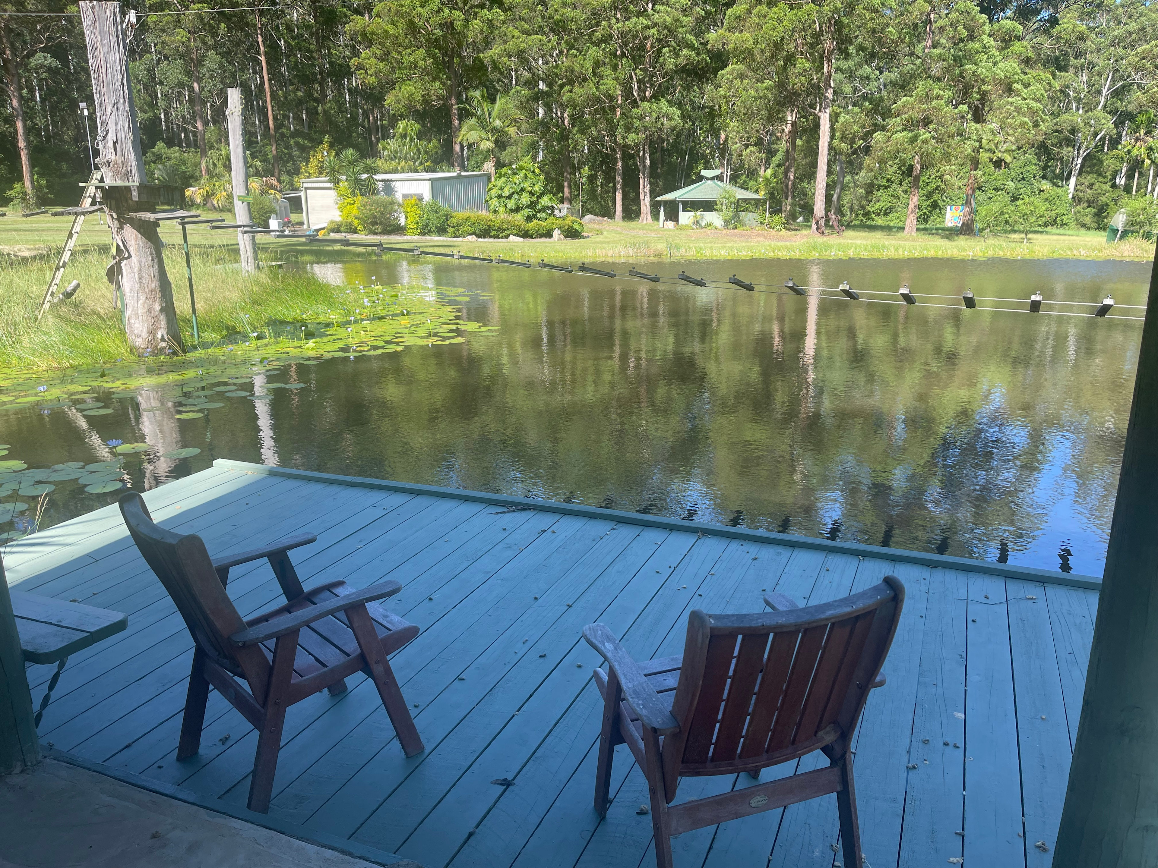 Delhuntie Park -Edens Canopy-