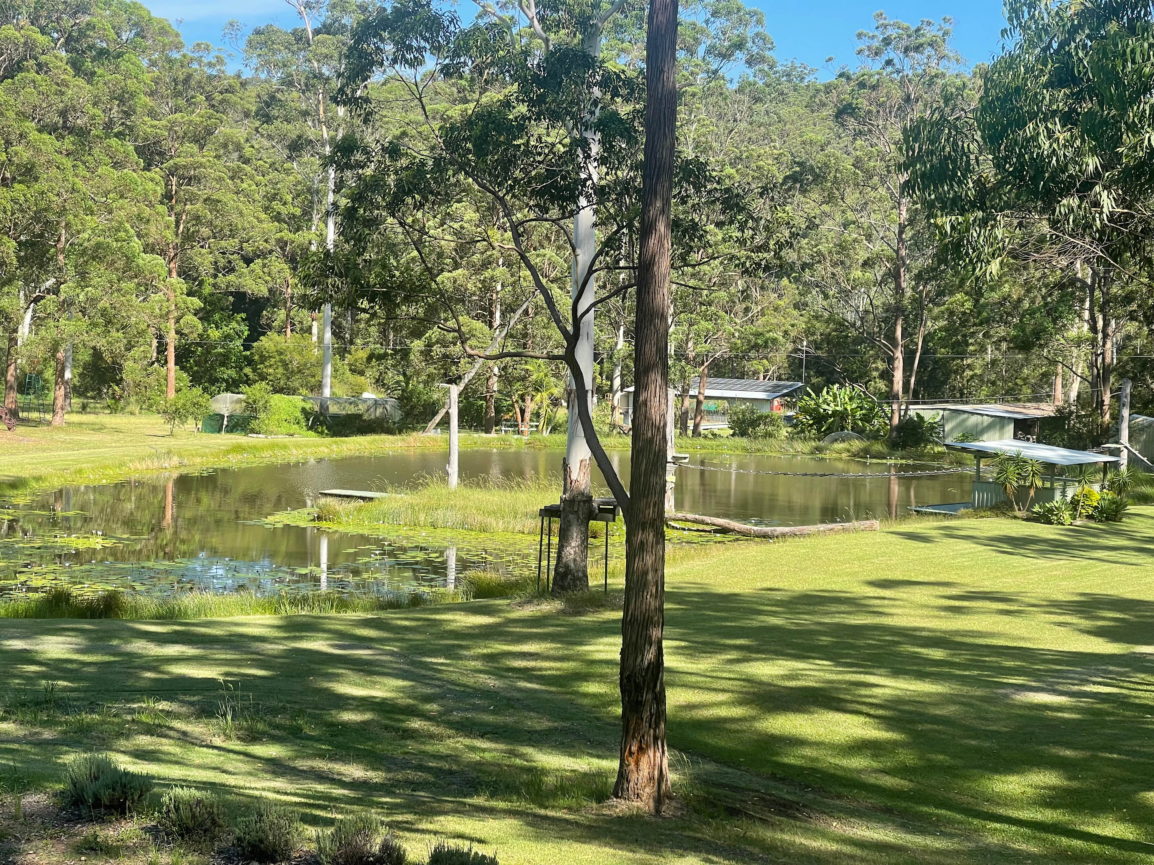 Delhuntie Park -Edens Canopy-