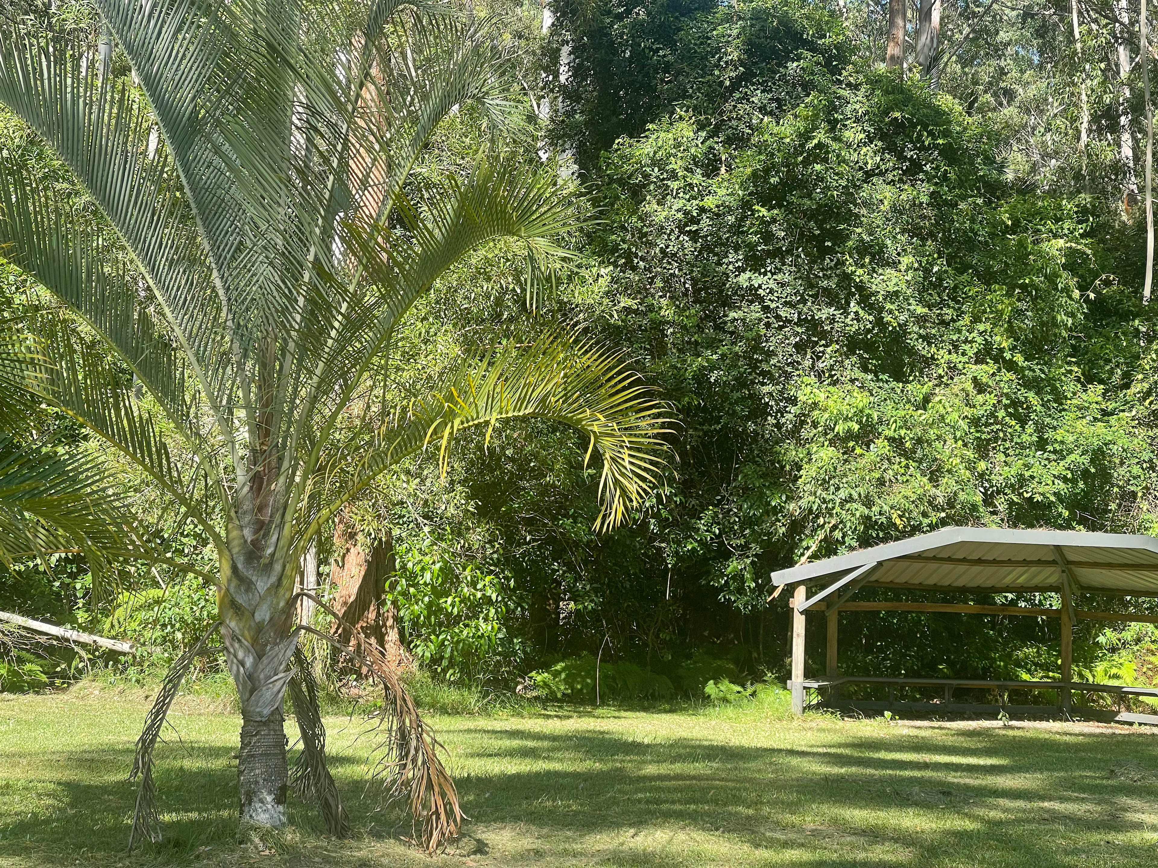 Delhuntie Park -Edens Canopy-