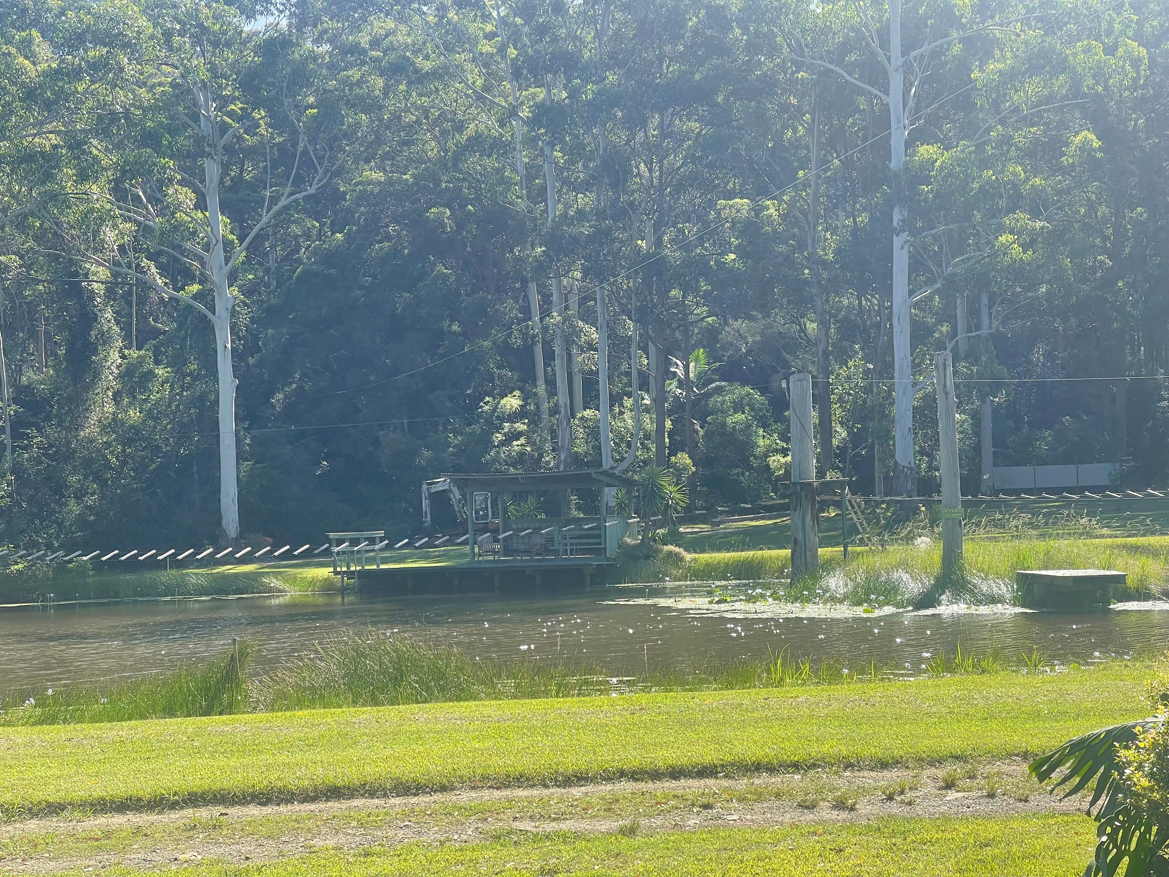 Delhuntie Park -Edens Canopy-