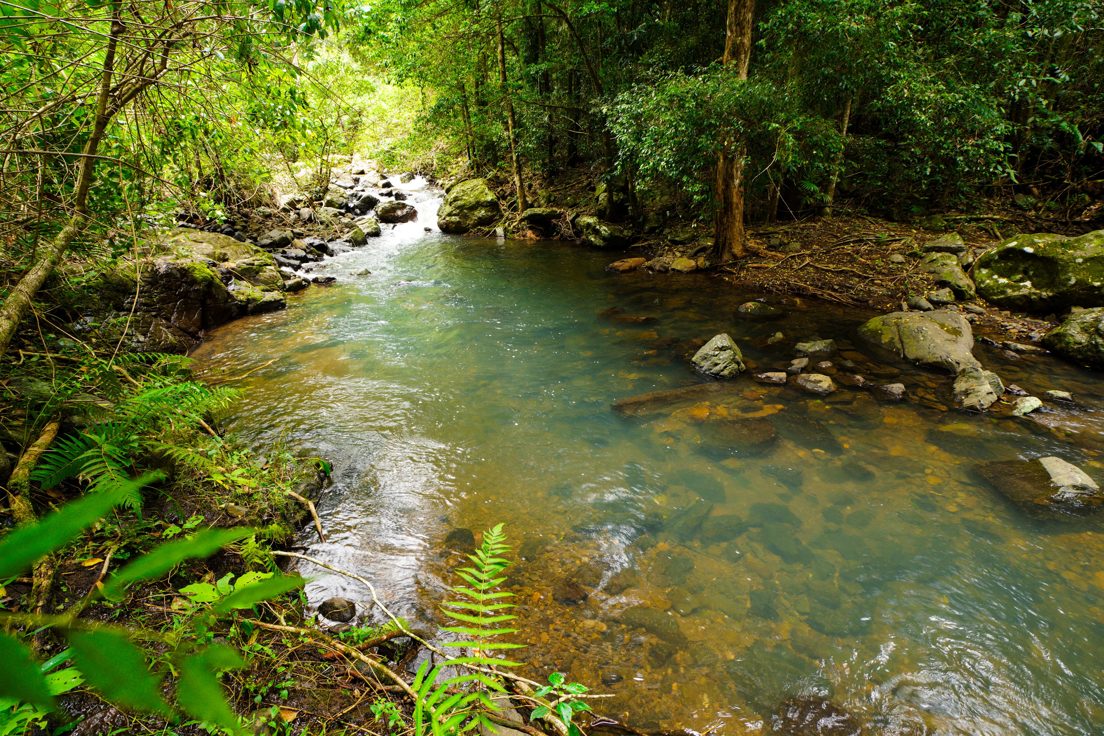 the creek snakes around the entire campground