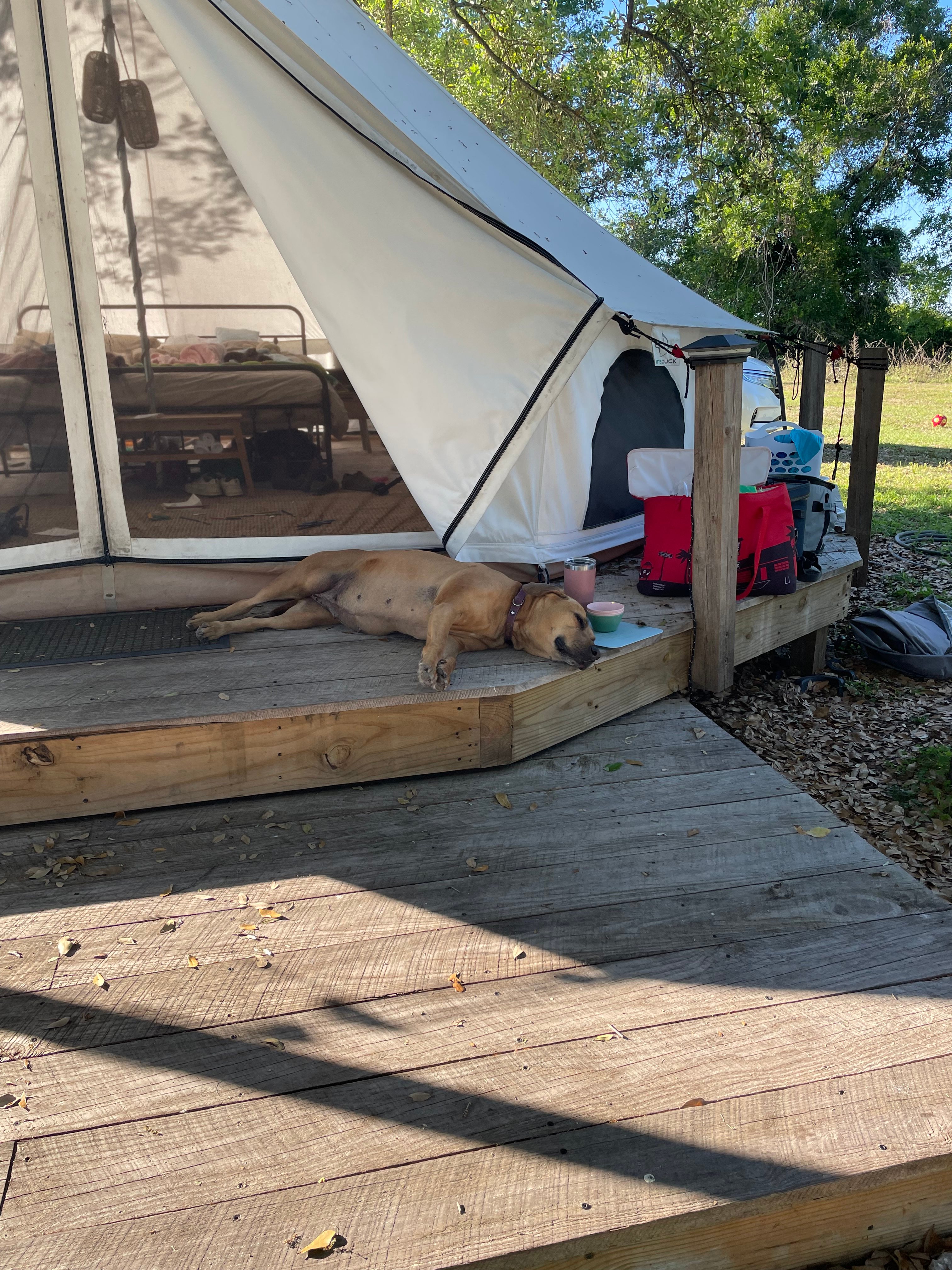 Serenity Acres Glamping Retreat