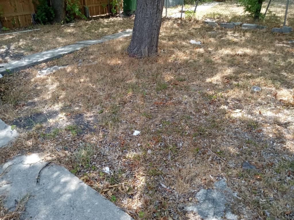 Near The Heart Of San Antonio