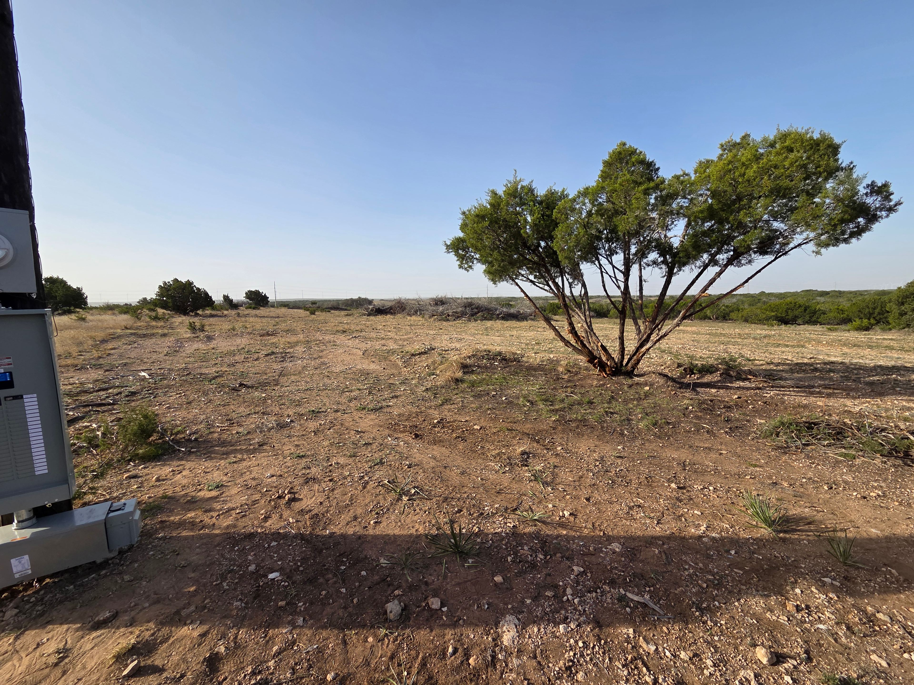 Windmill sights at night!