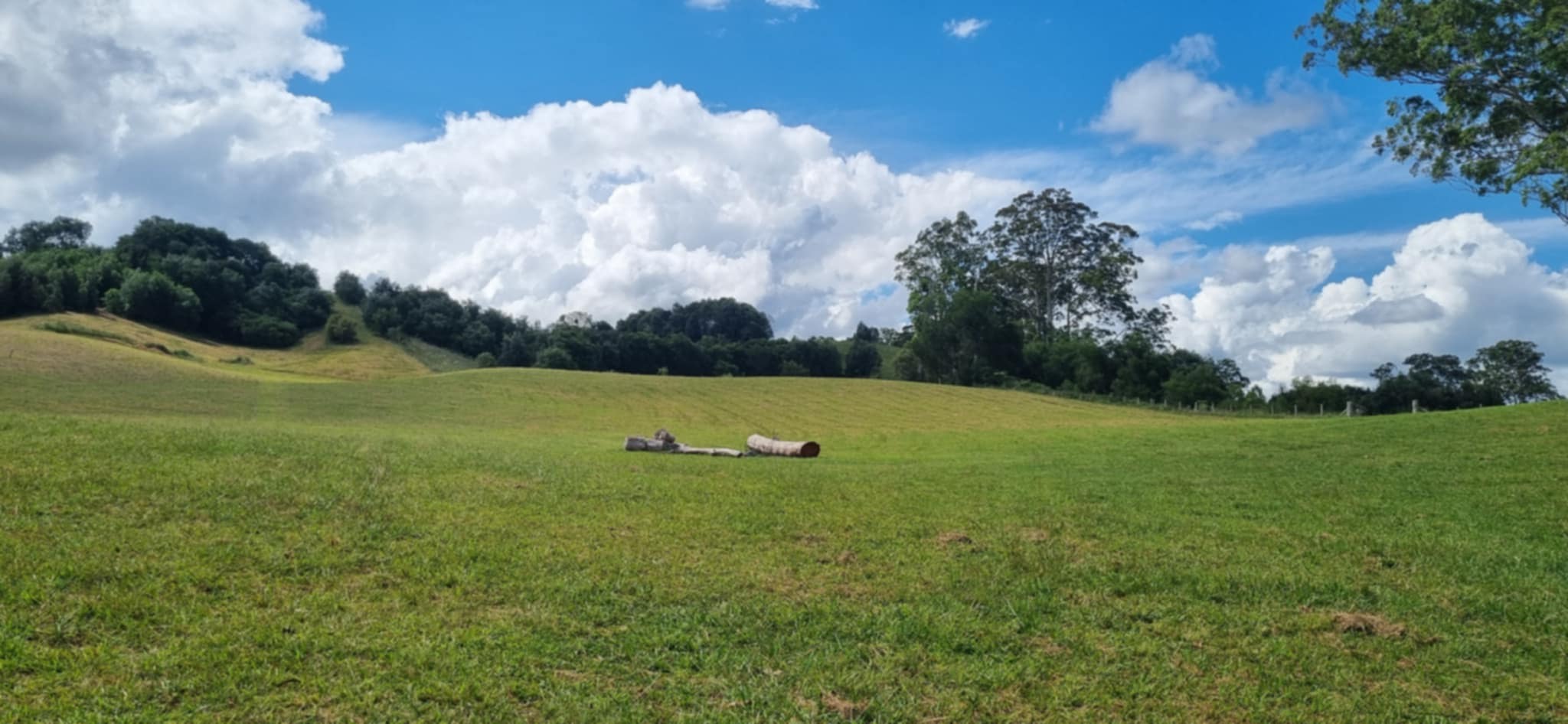 Homeville Camping and Farm Stay