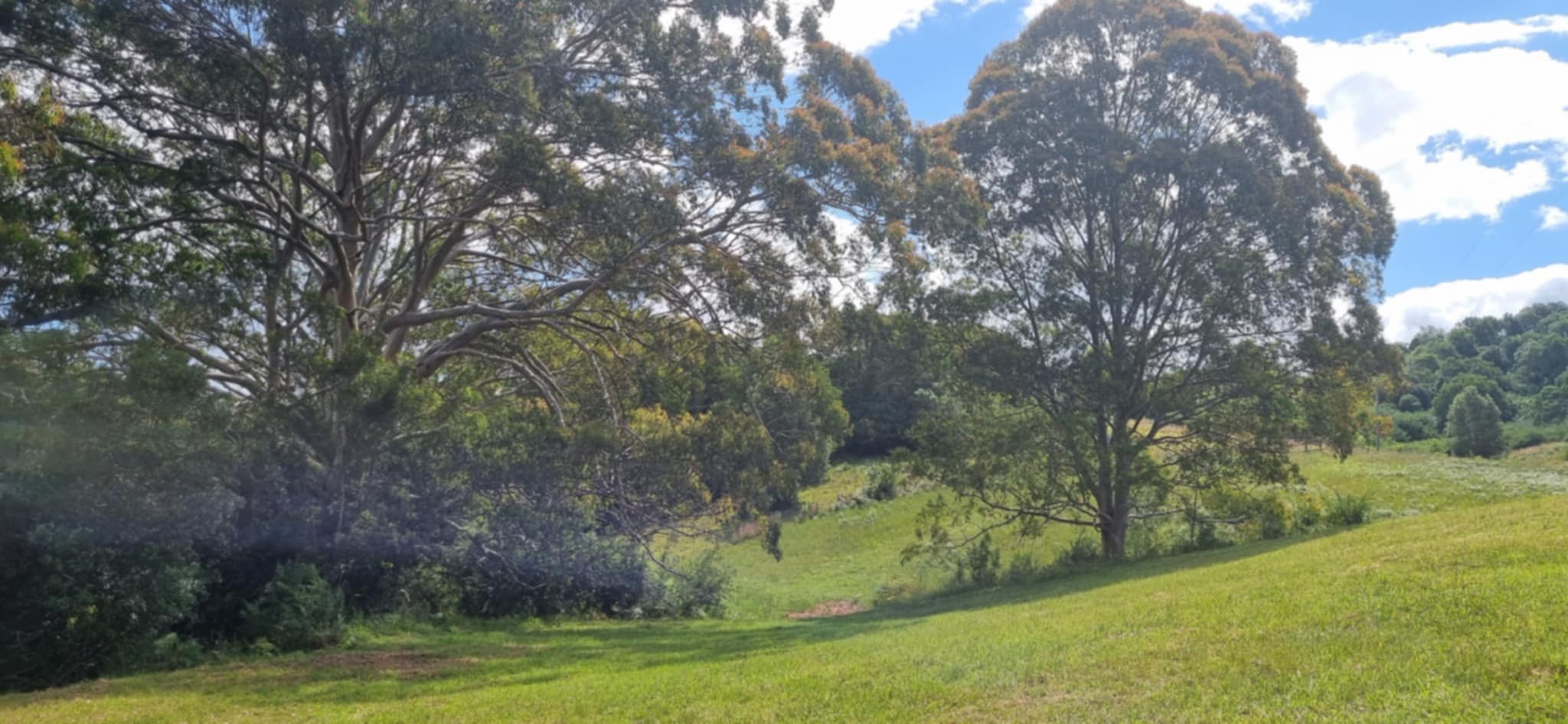 Homeville Camping and Farm Stay