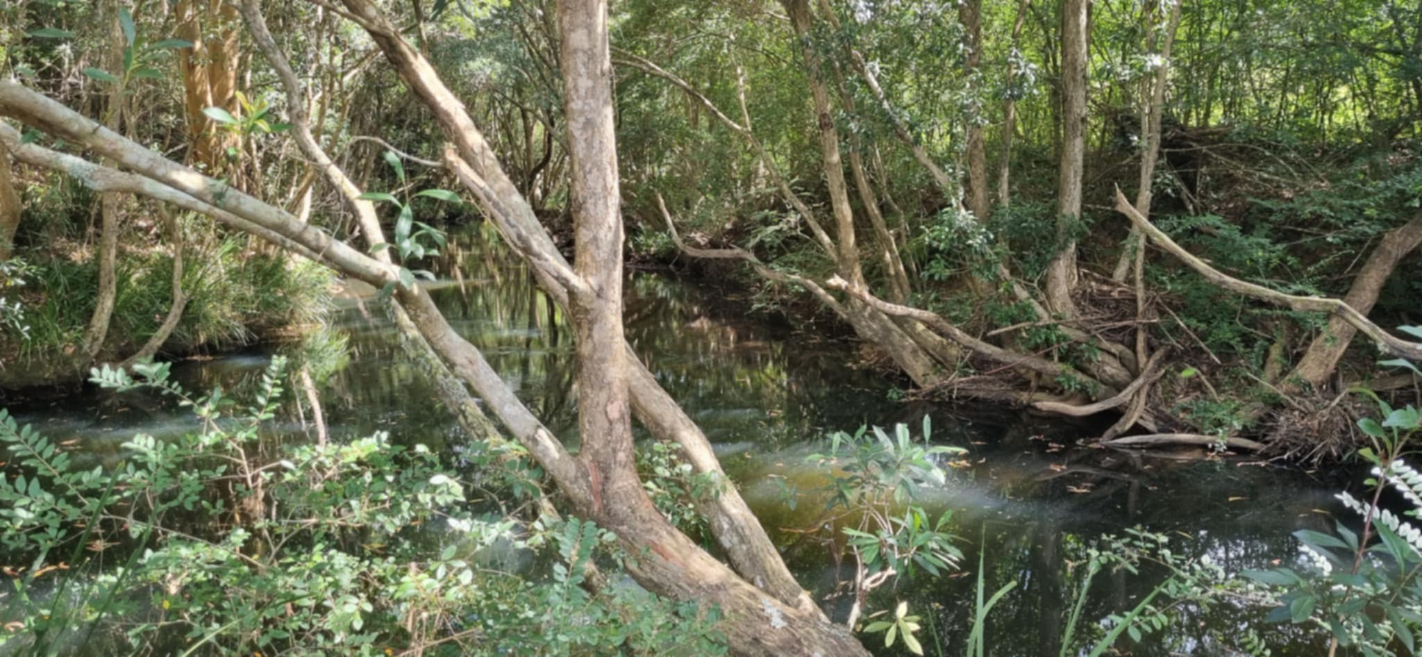 Homeville Camping and Farm Stay