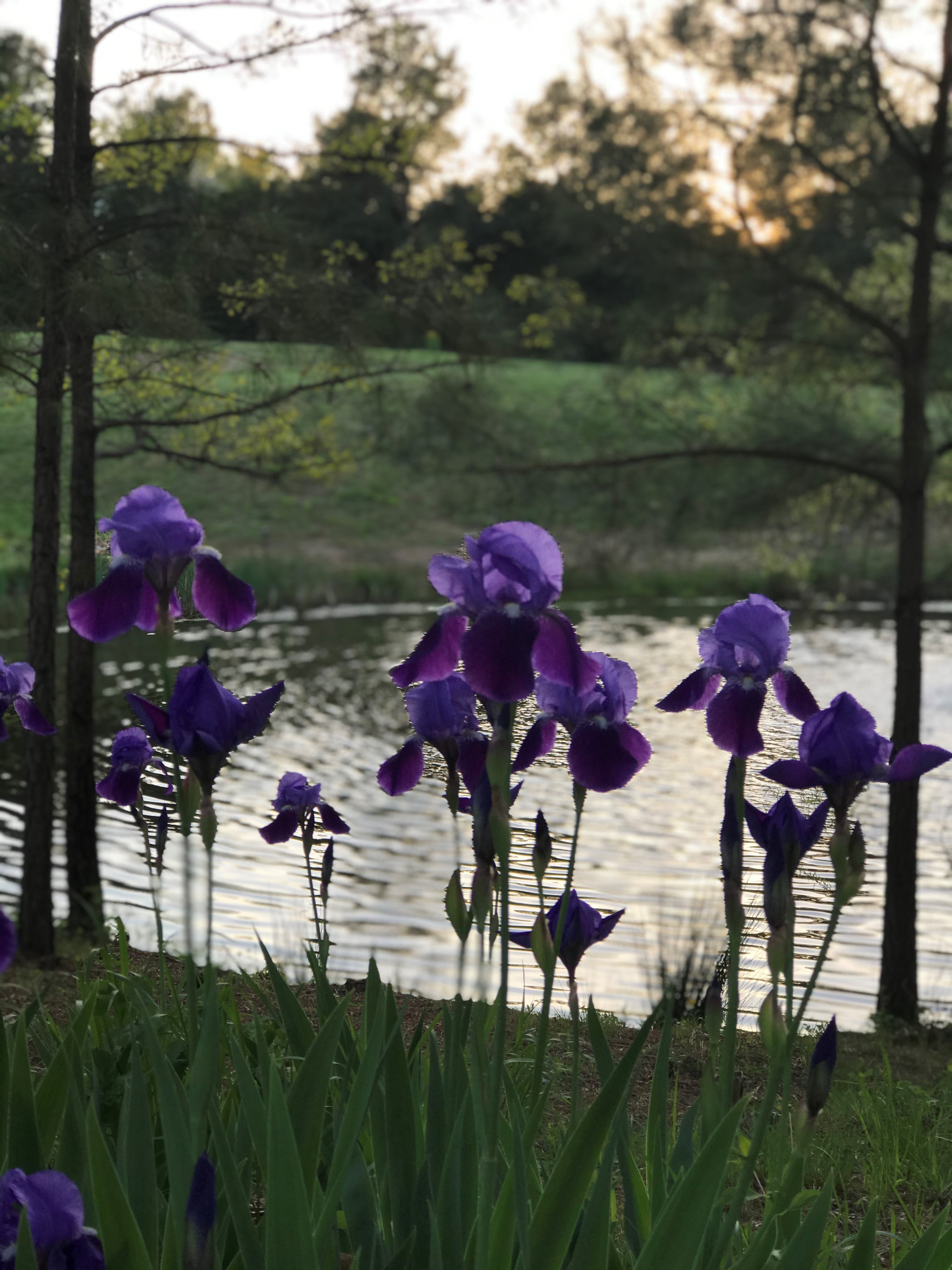 Tanglewood Campground & RV Resort