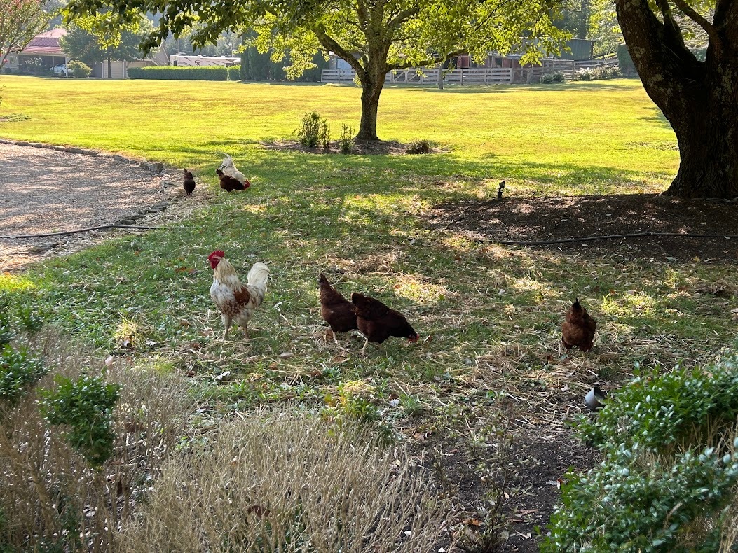 Baker Hollow Farm in Nashville