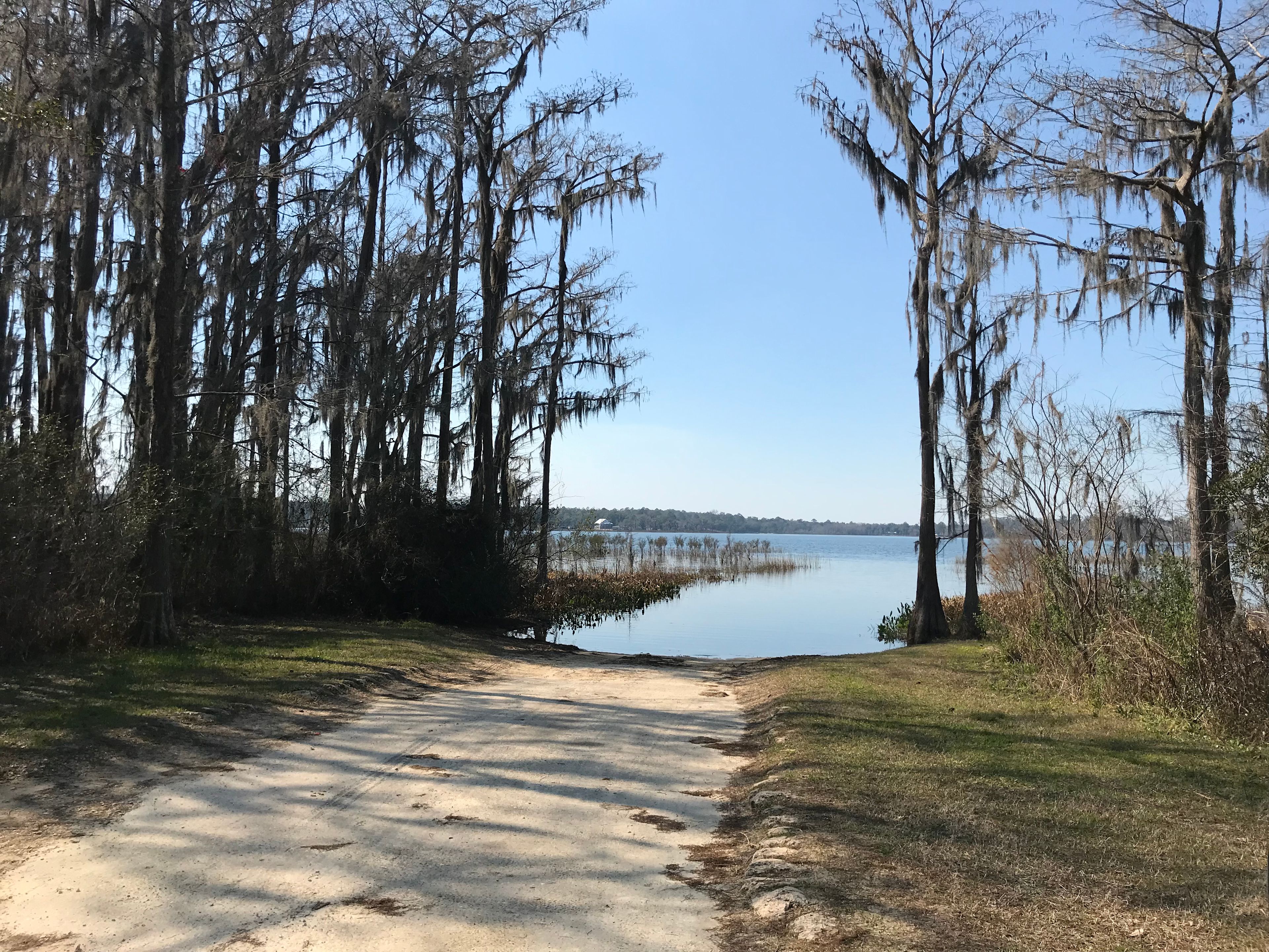 1 of the 2 access points on Lucas Lake there are beautiful trees and a picnic table for use. 
