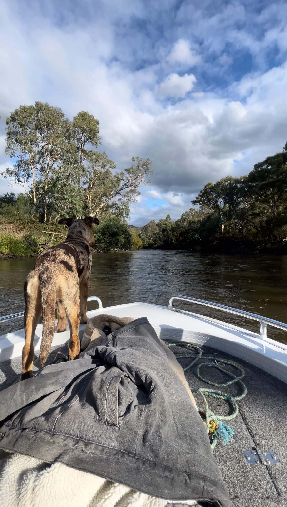 Riverside Goulburn River