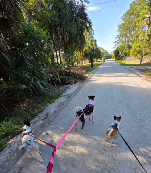 Jungle Bloom RV & Camping Escape