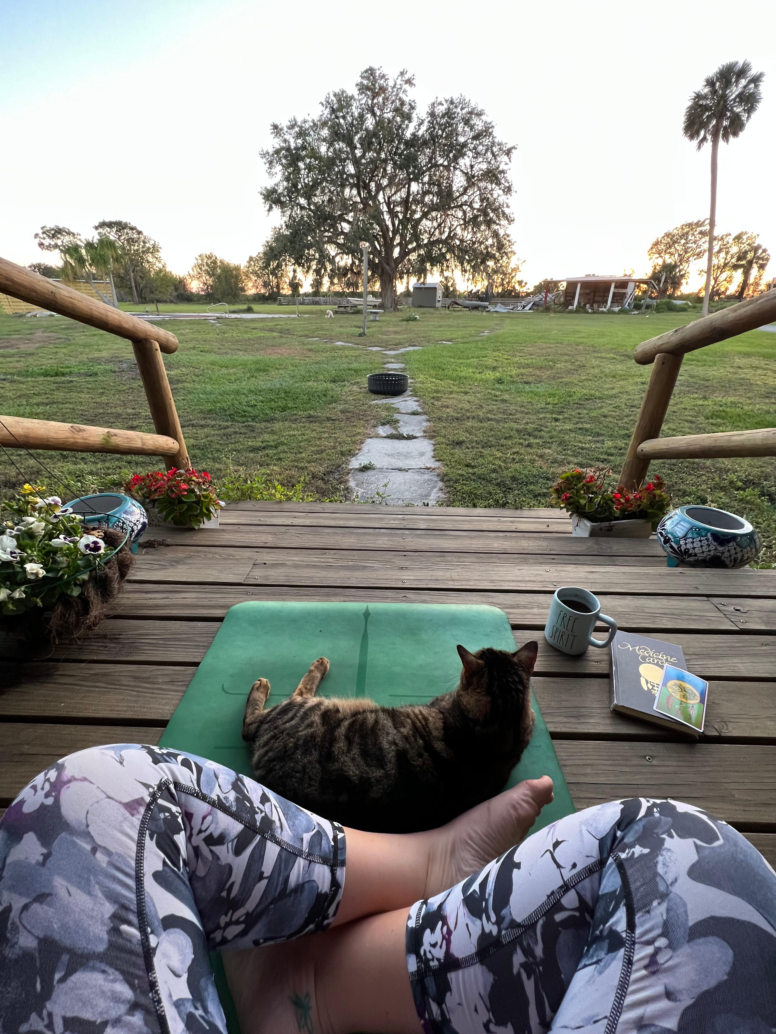 Oak Creek Preserve Camping & Cattle