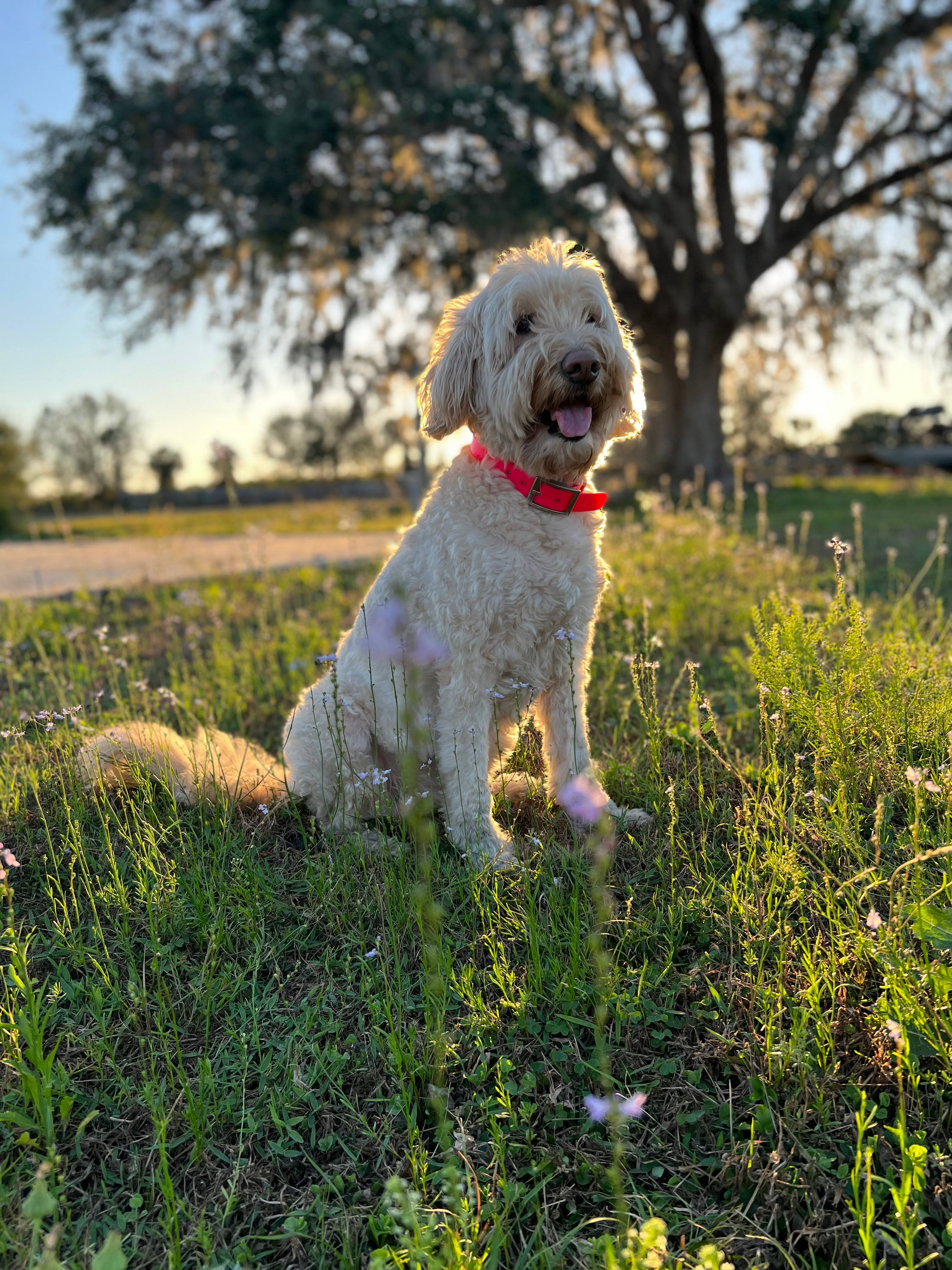 Oak Creek Preserve Camping & Cattle