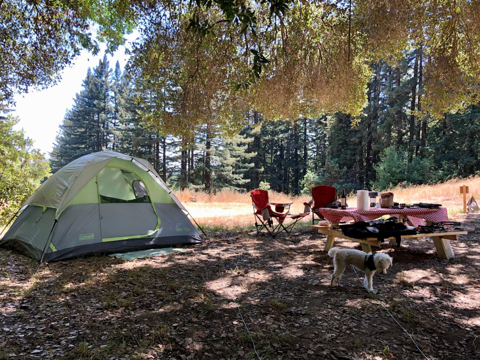 Amaya Creek Redwood Campground