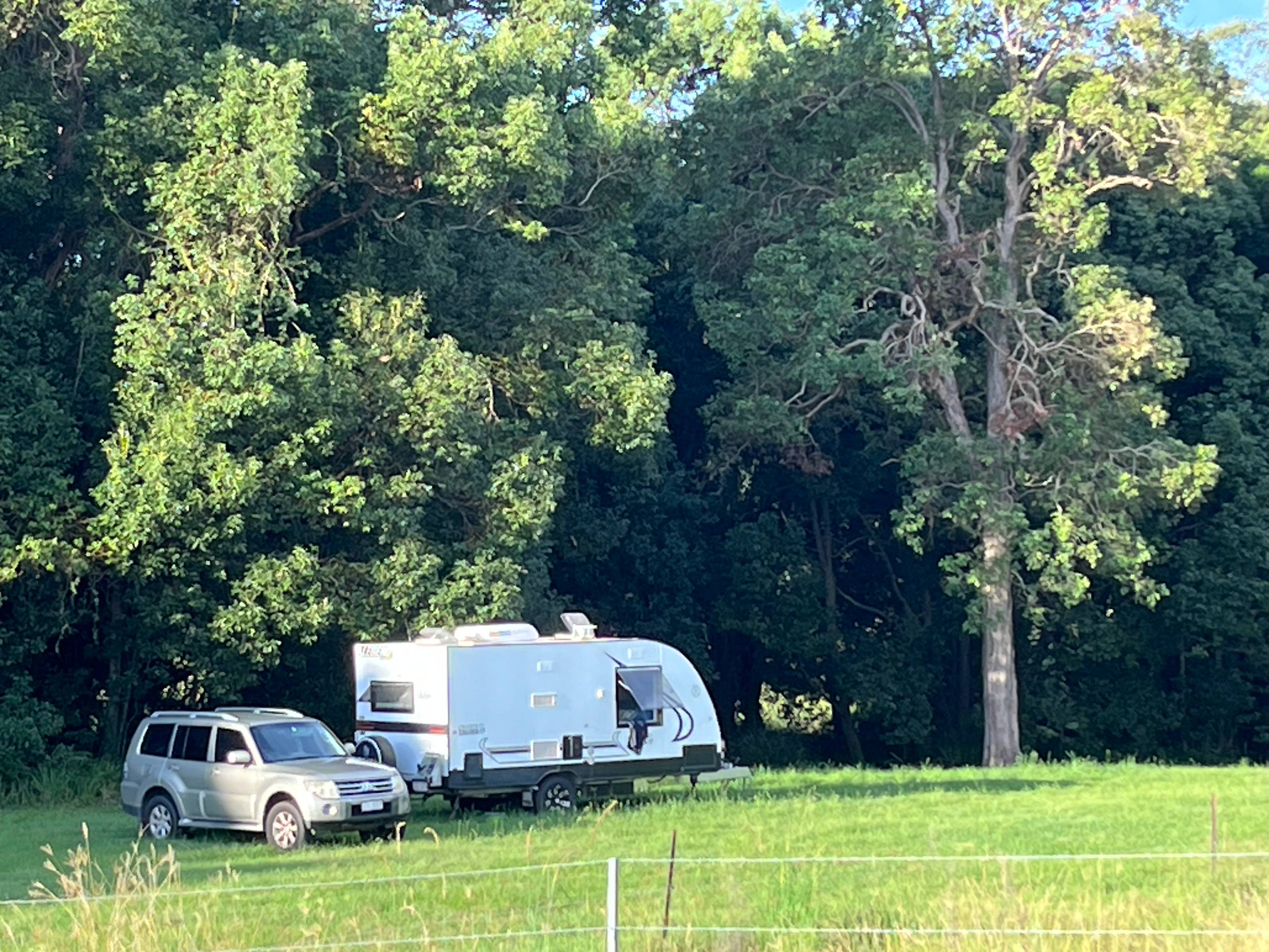 Mothar Mountain Farm