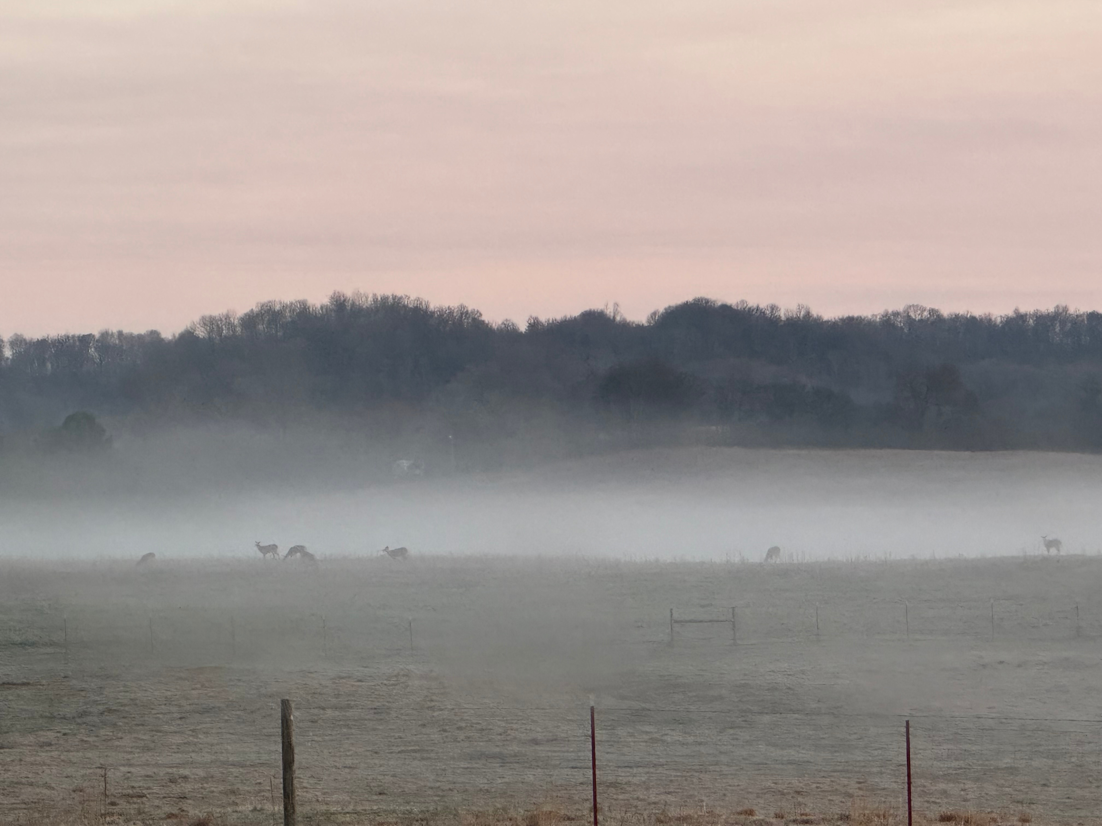 Hostetler Homestead