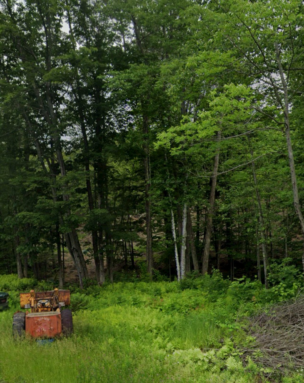 Wilson lake campground