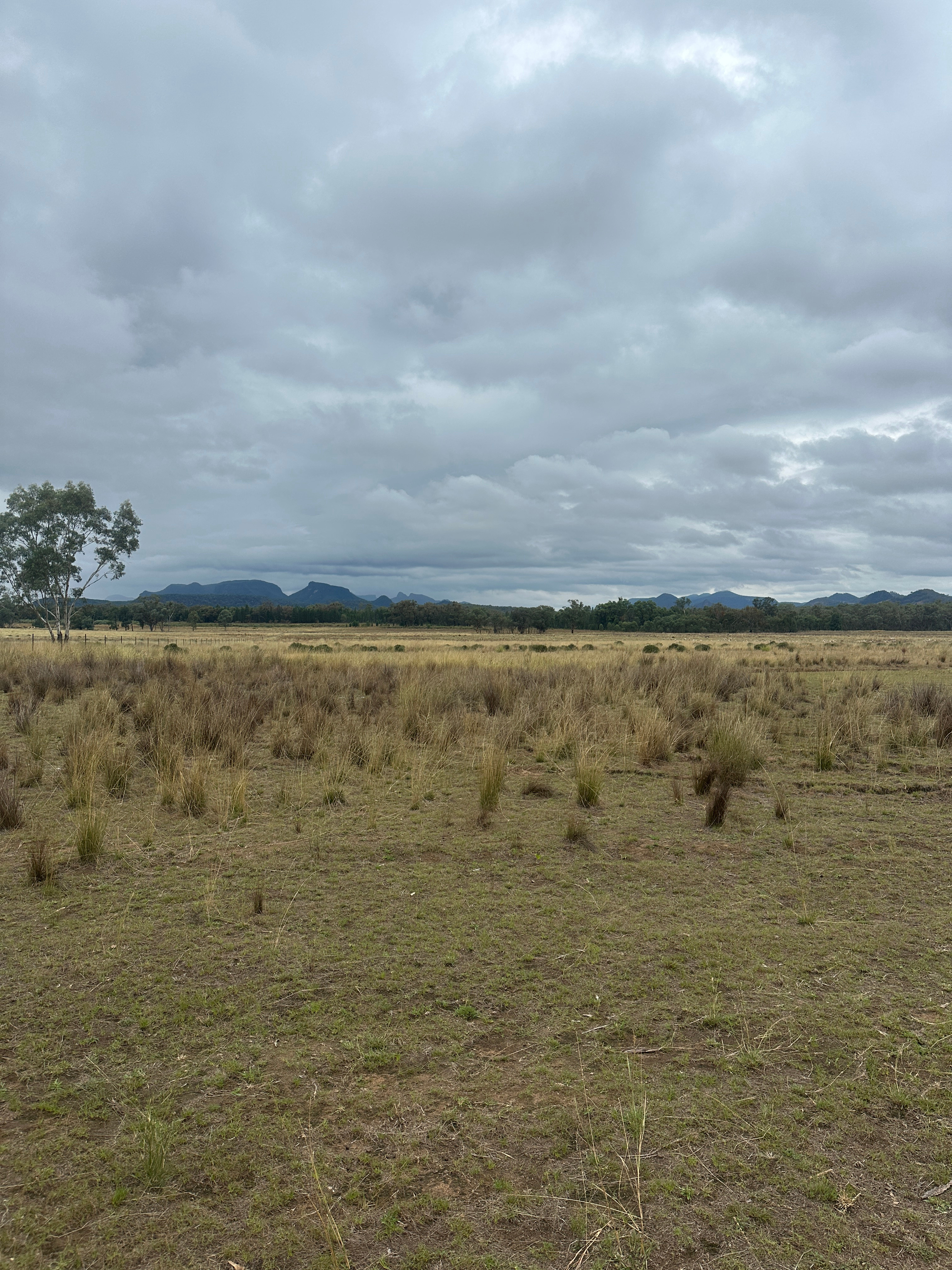 Gawambaraay Views