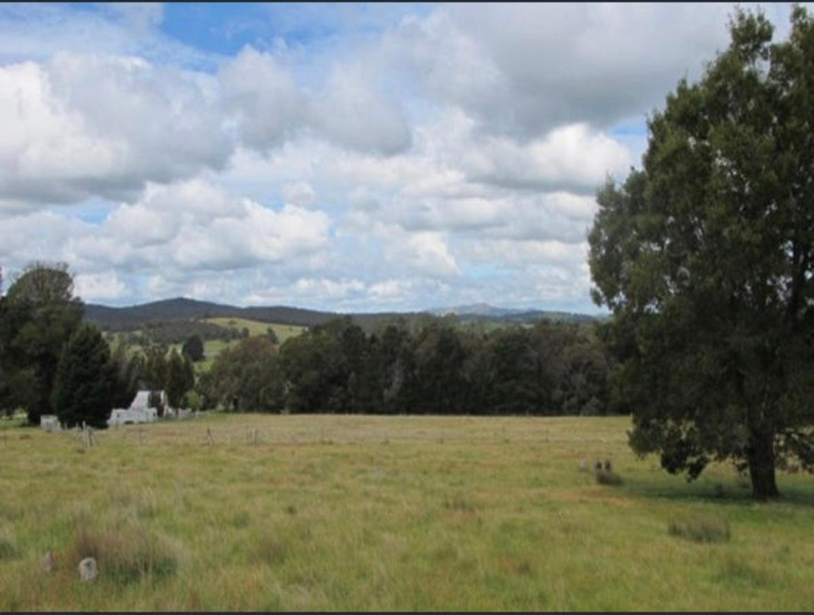 The Greenhouse on School Rd