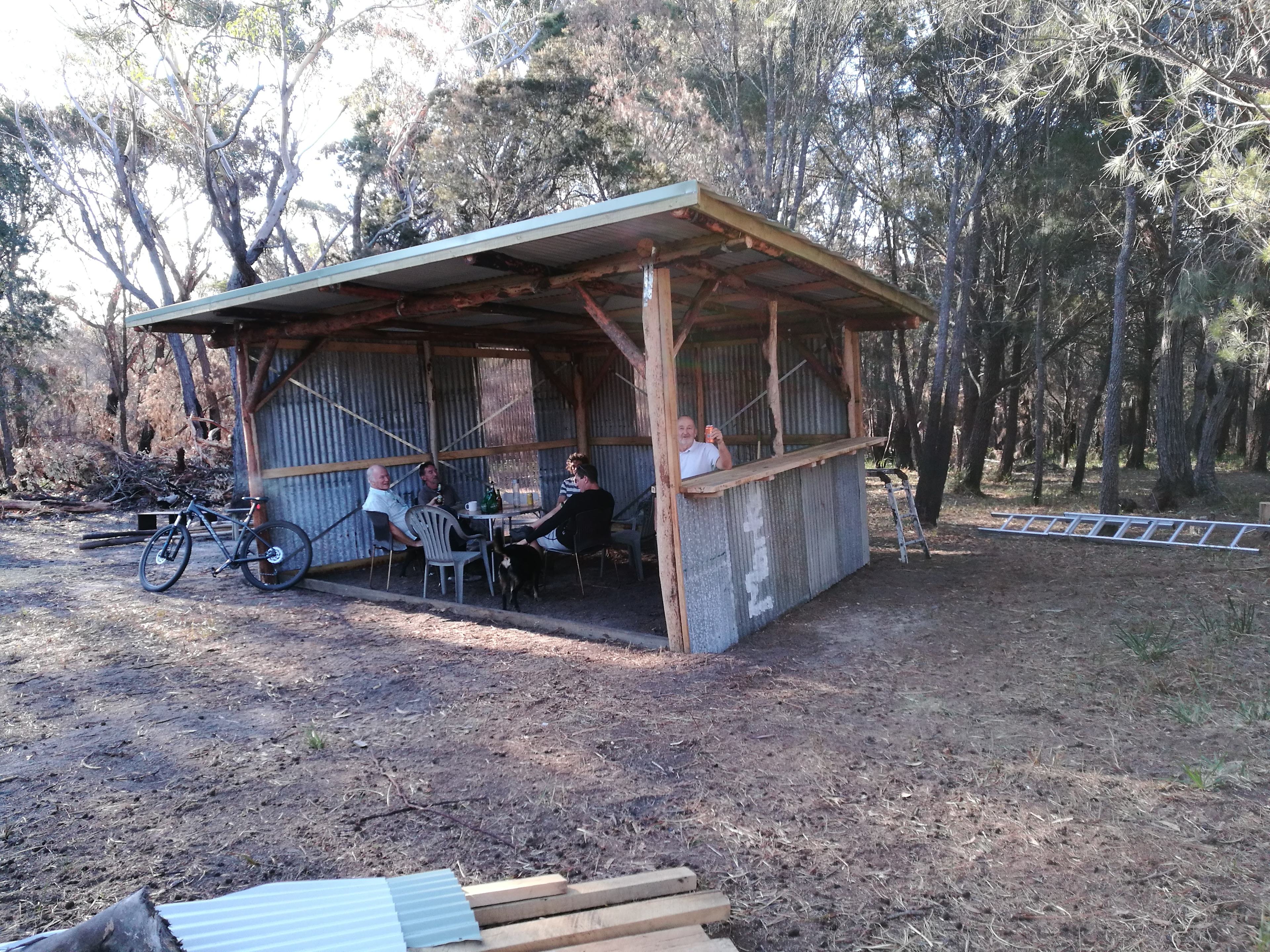 Sheoak Woodland By The Sea