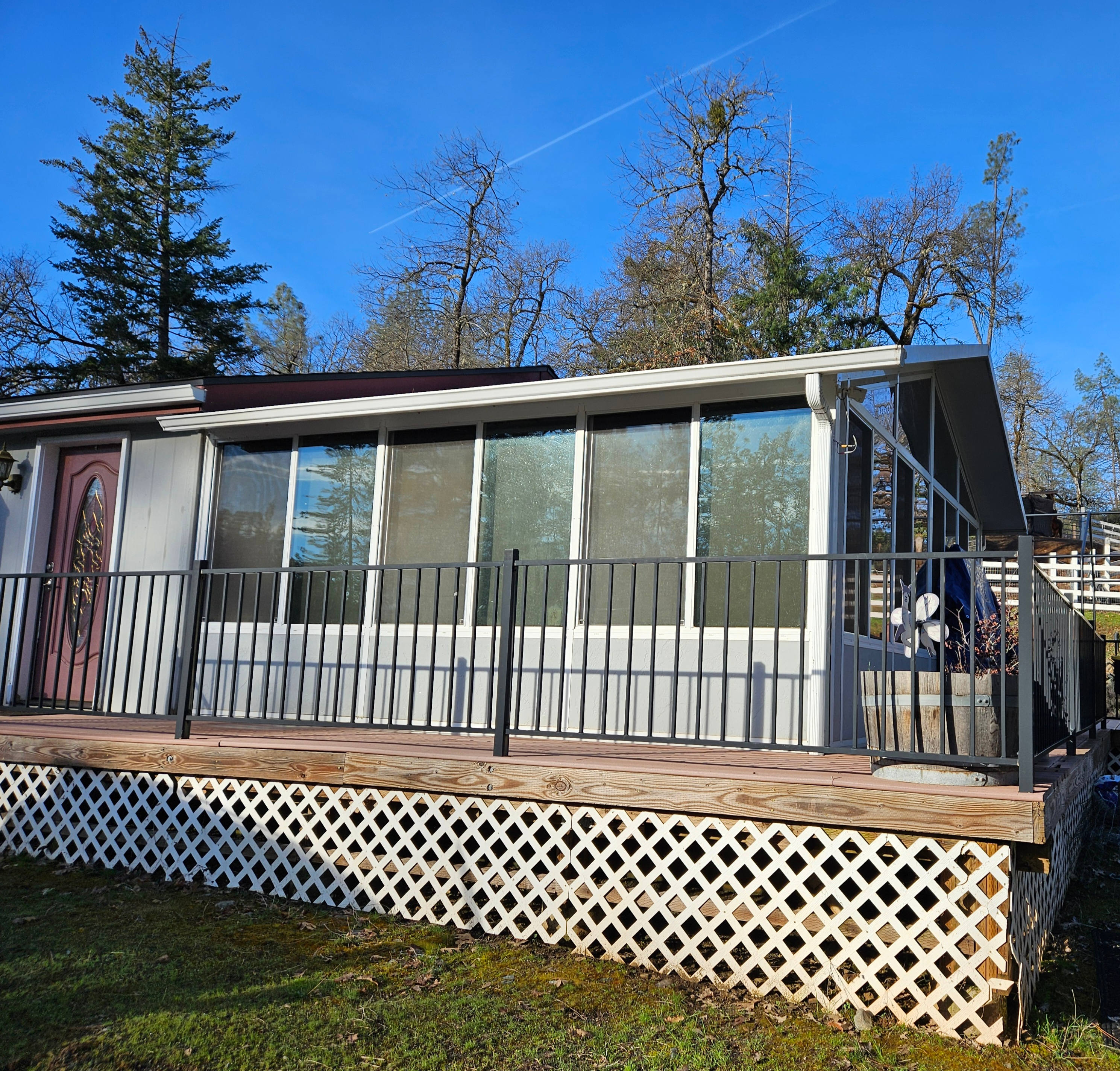 Our sunroom addition has windows on 3 sides for optimum alpaca gazing.
