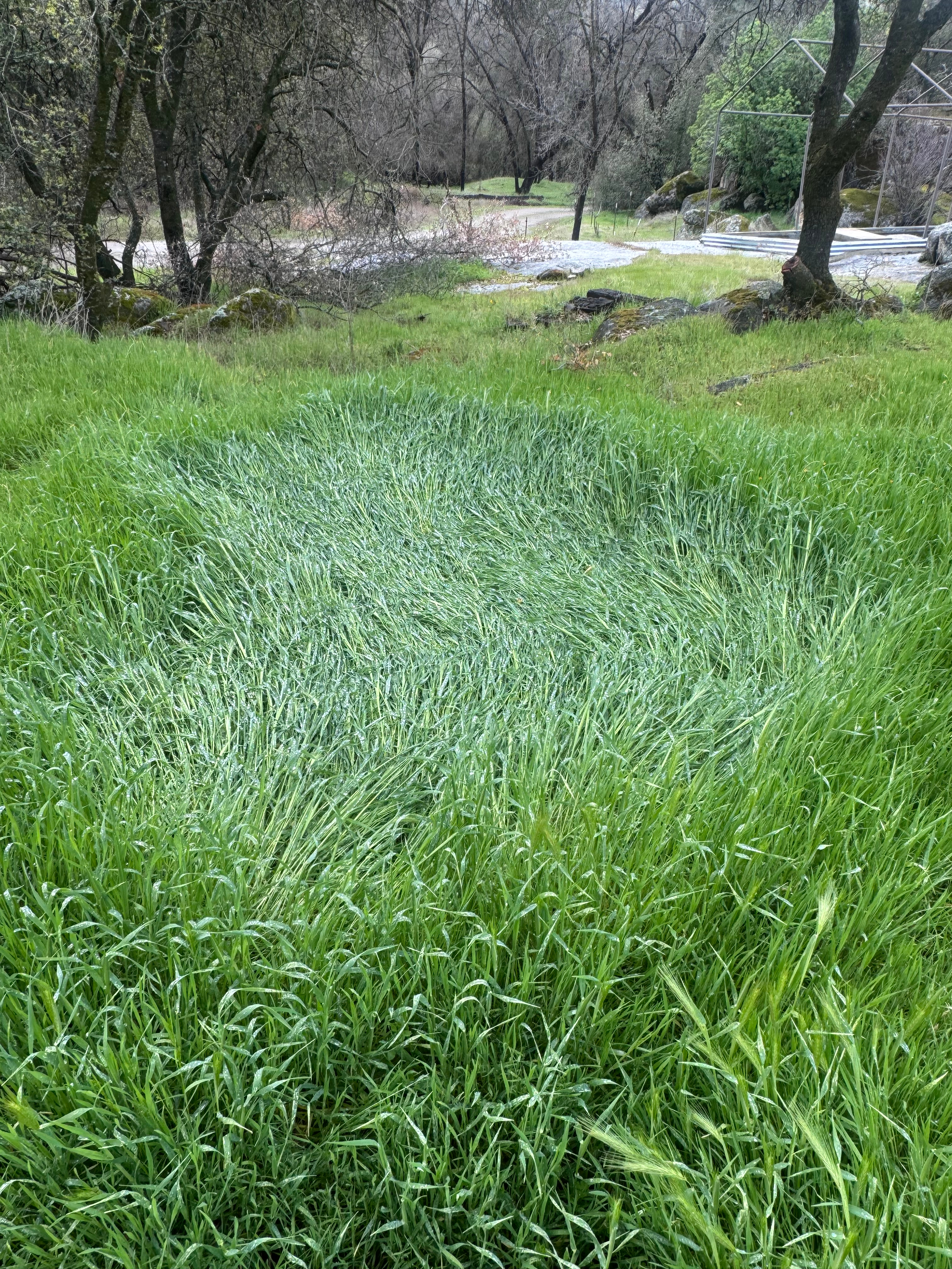 San Pedro Ranch