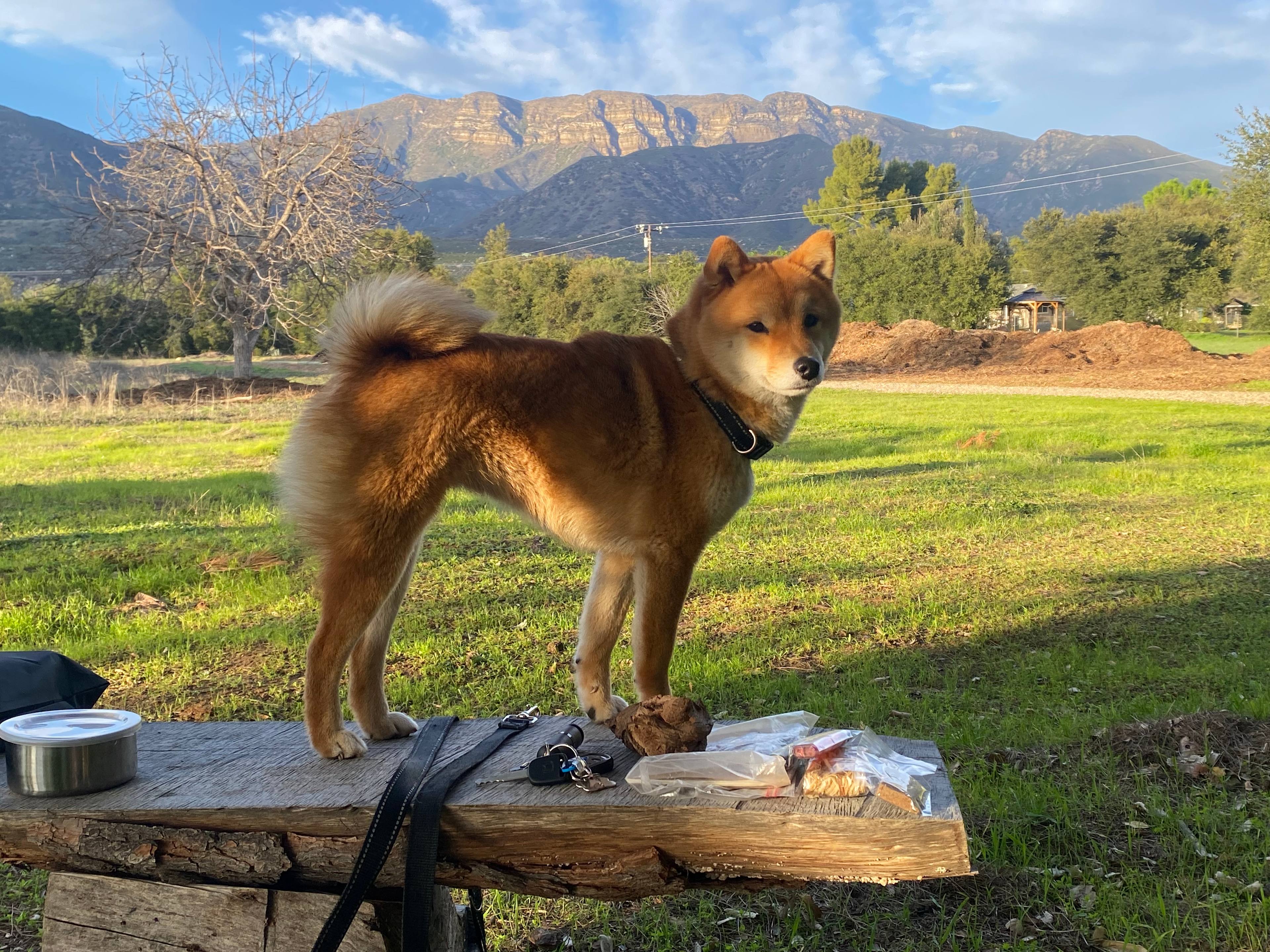 Park At Tar Creeks Ranch