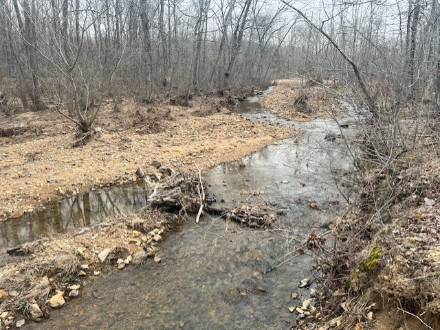 Ozark Riverside Oasis