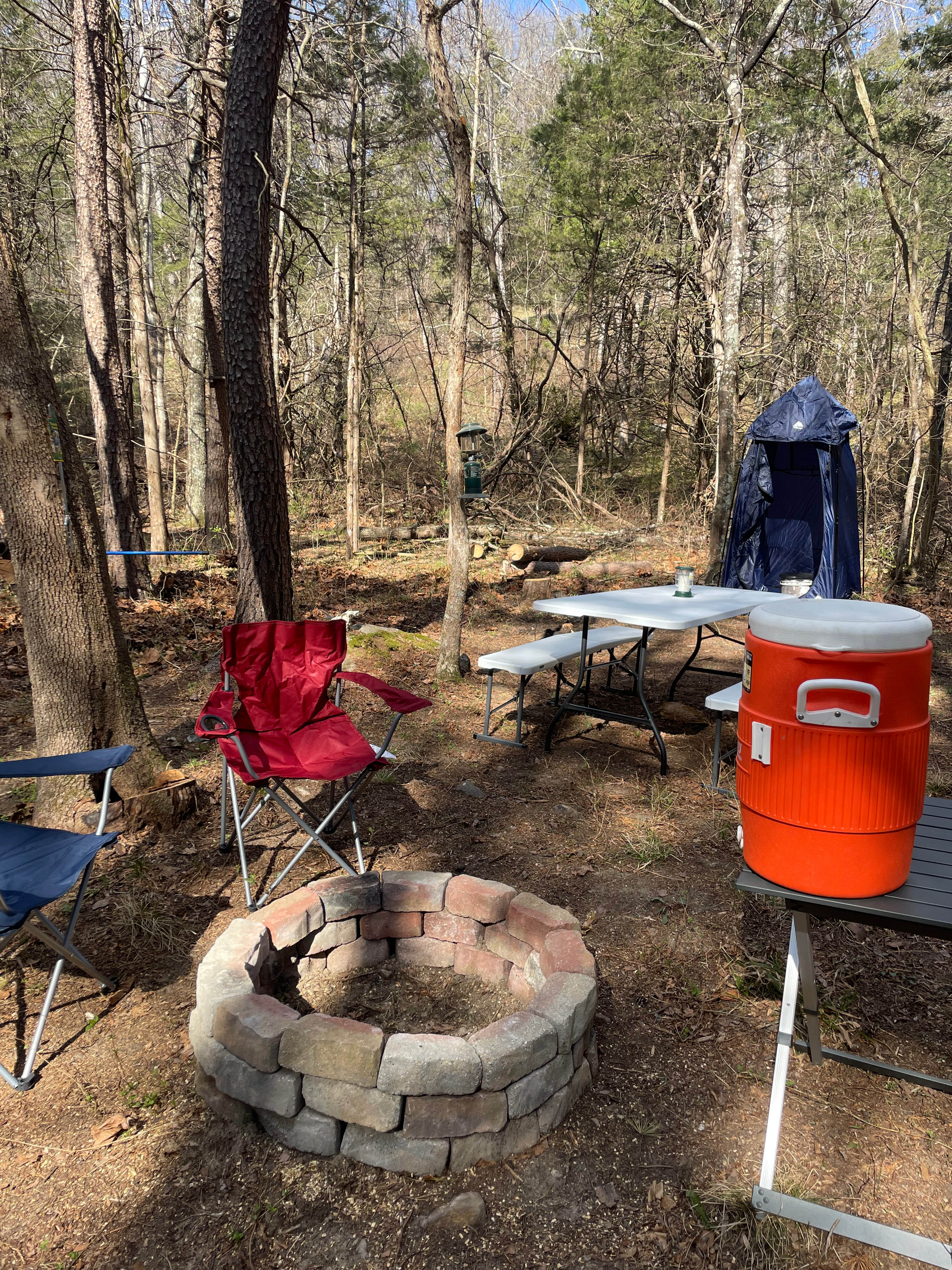 Nicholson’s Wonder Forest