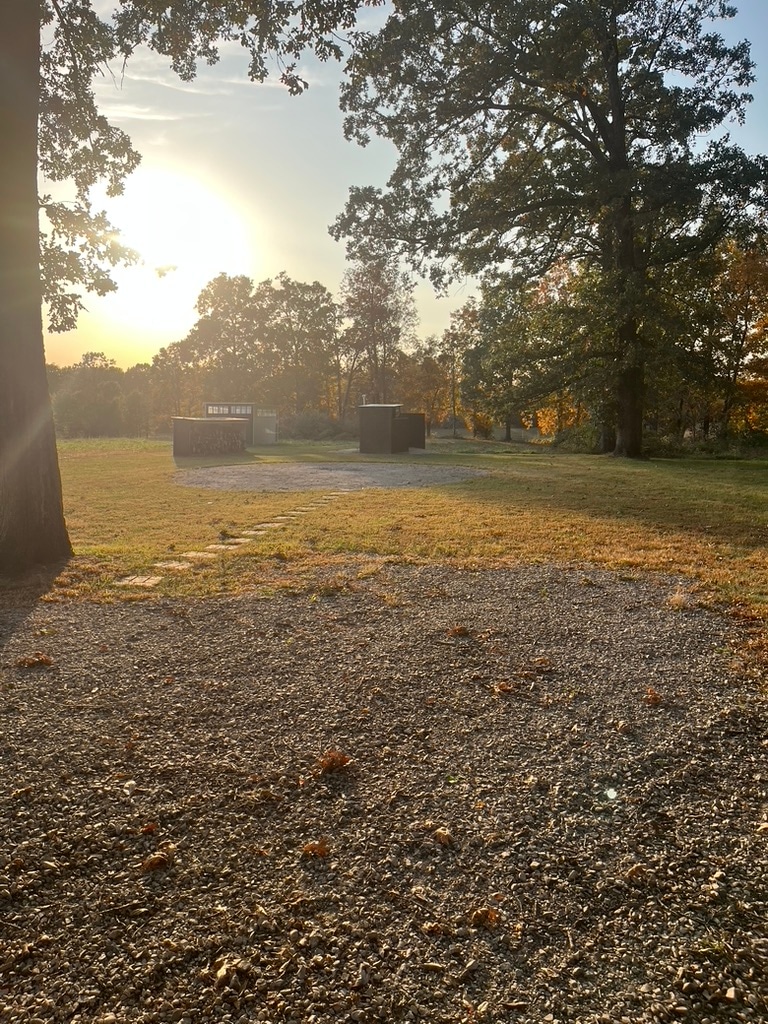 Fire pit next to dry wood storage and out house. 