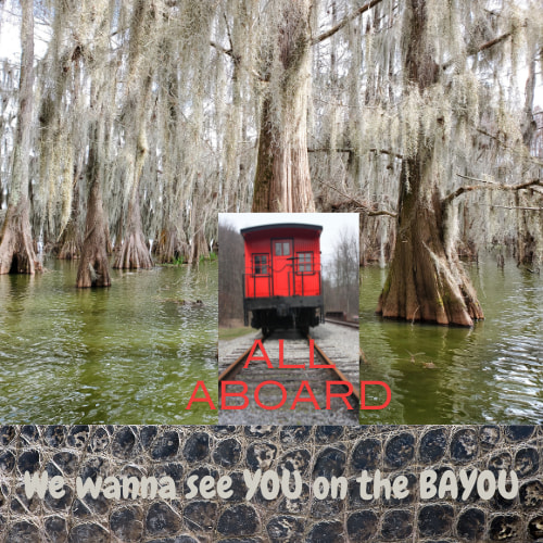 Bayou Choo Choo and Bayou Views