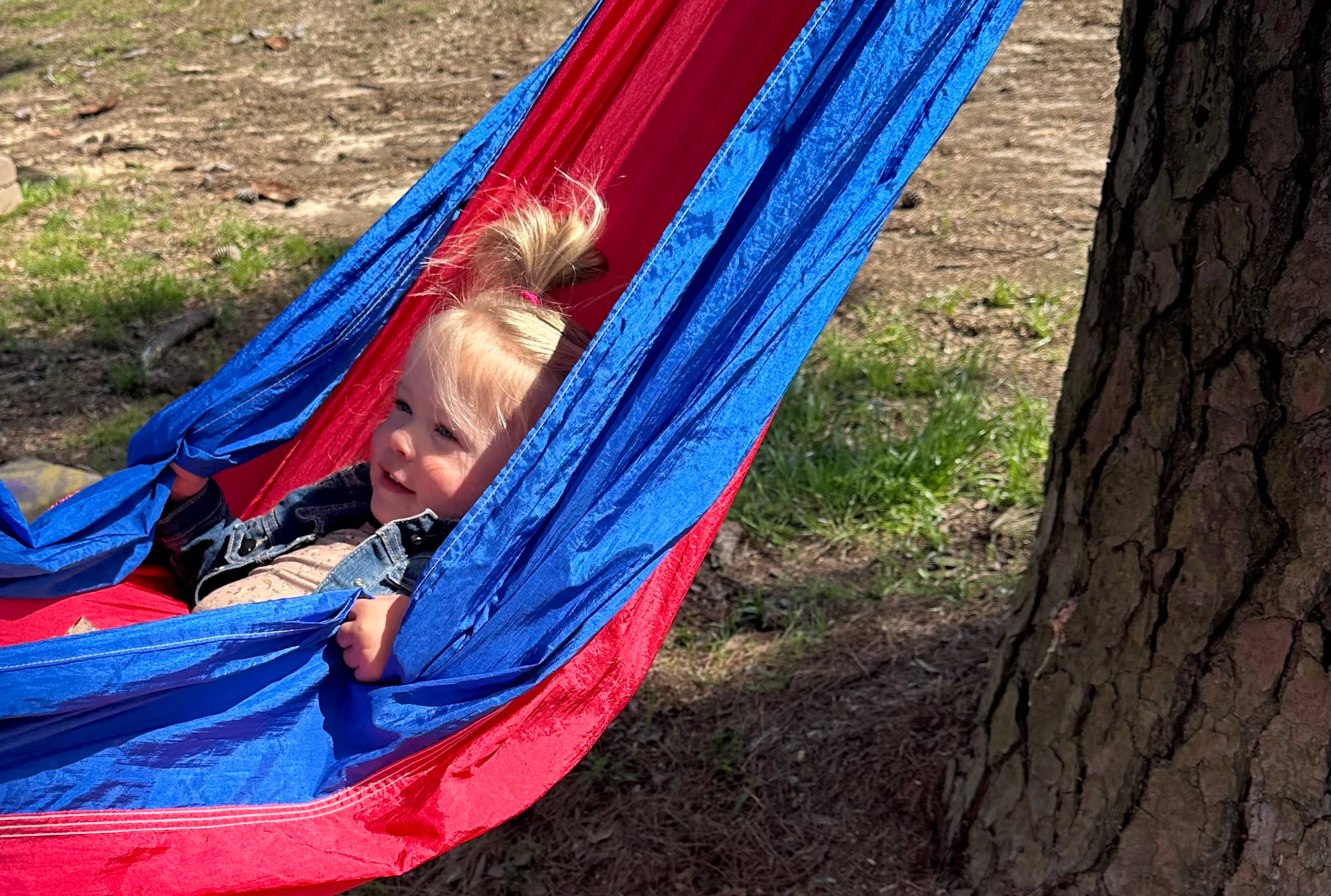 Bayou Choo Choo and Bayou Views