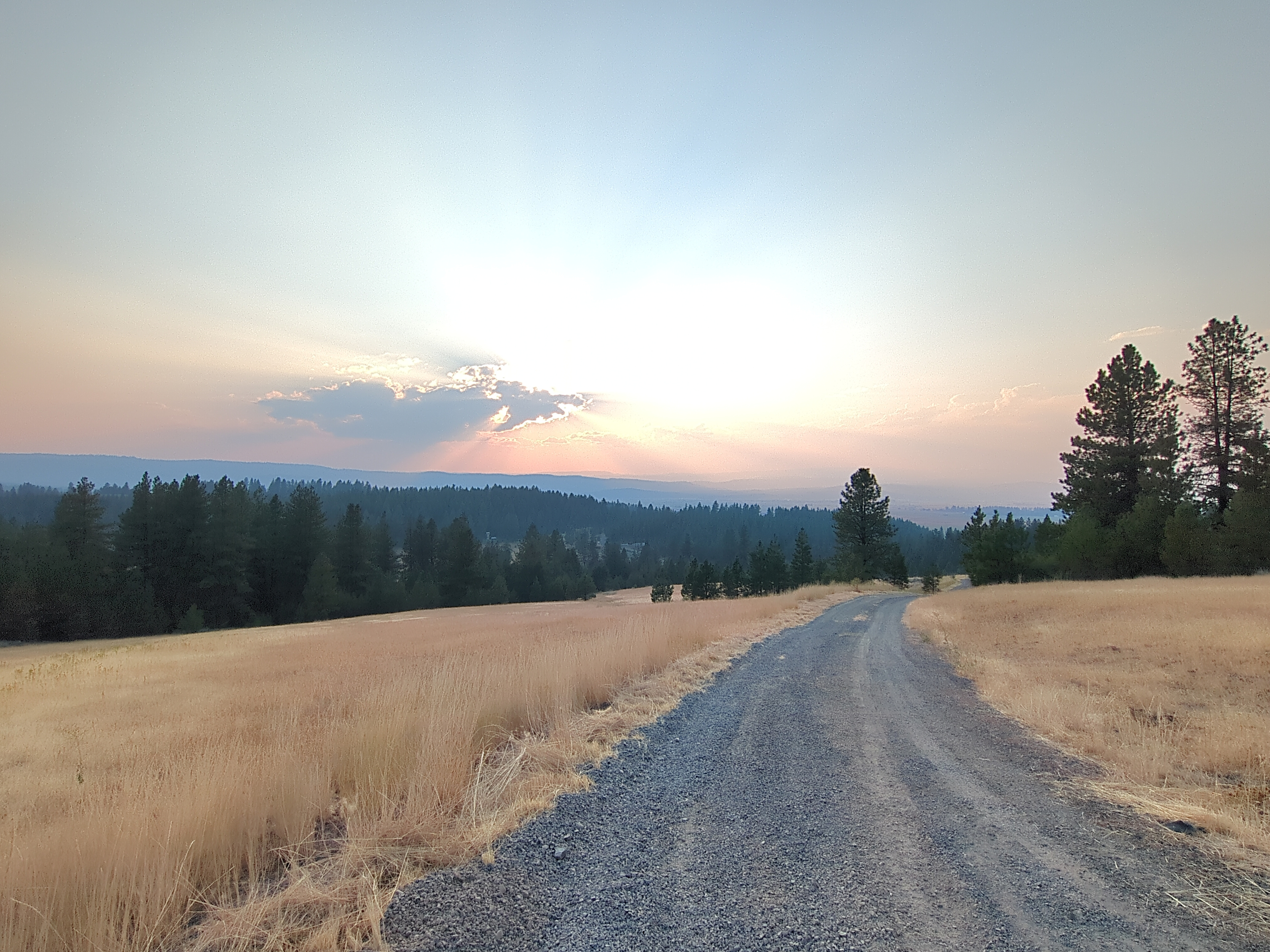 Off-Grid Camping Next To BLM/Forest