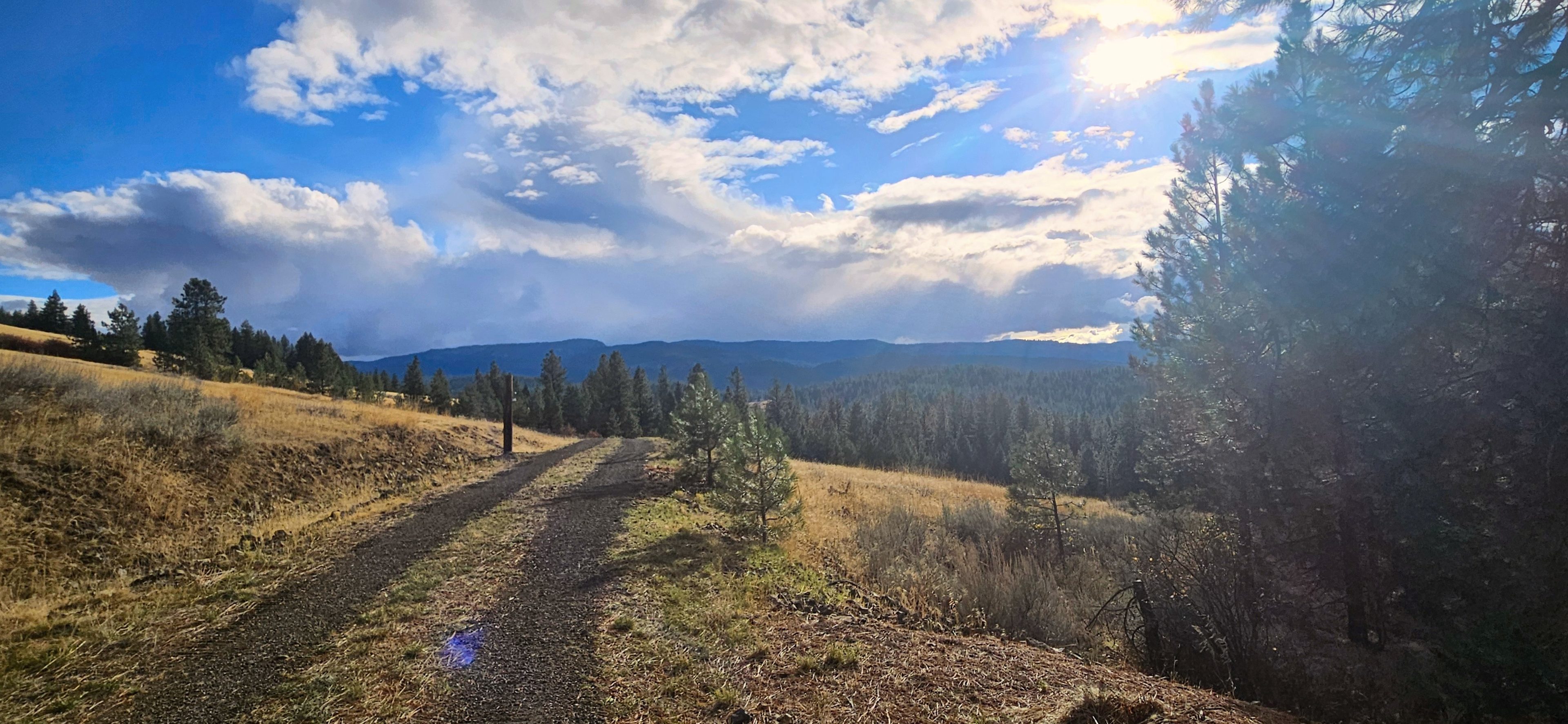 Off-Grid Camping Next To BLM/Forest