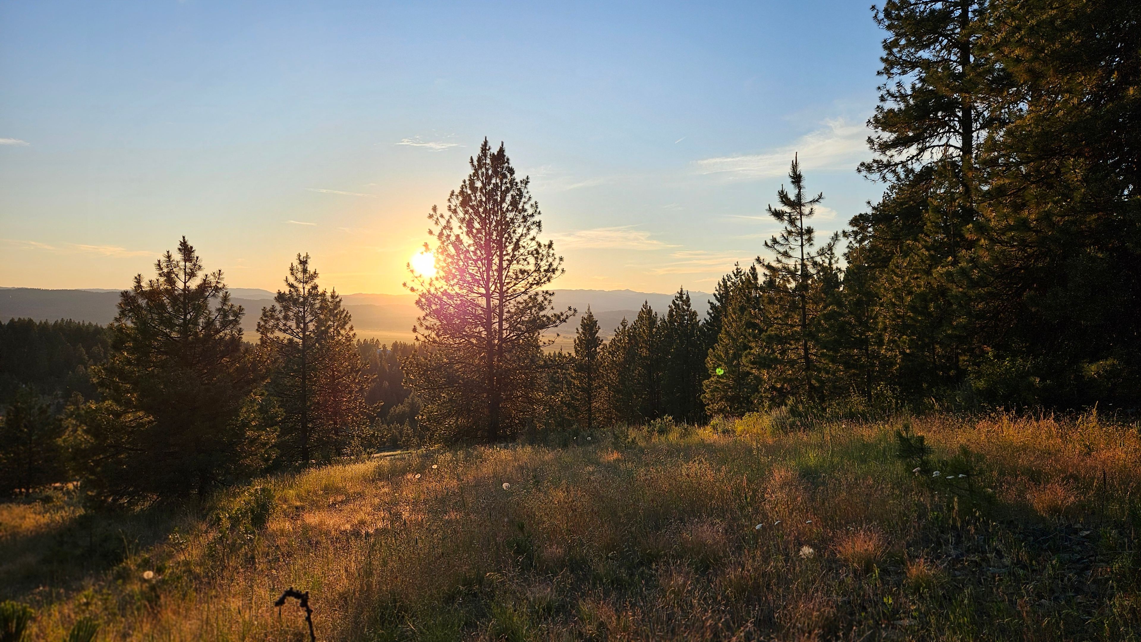 Off-Grid Camping Next To BLM/Forest