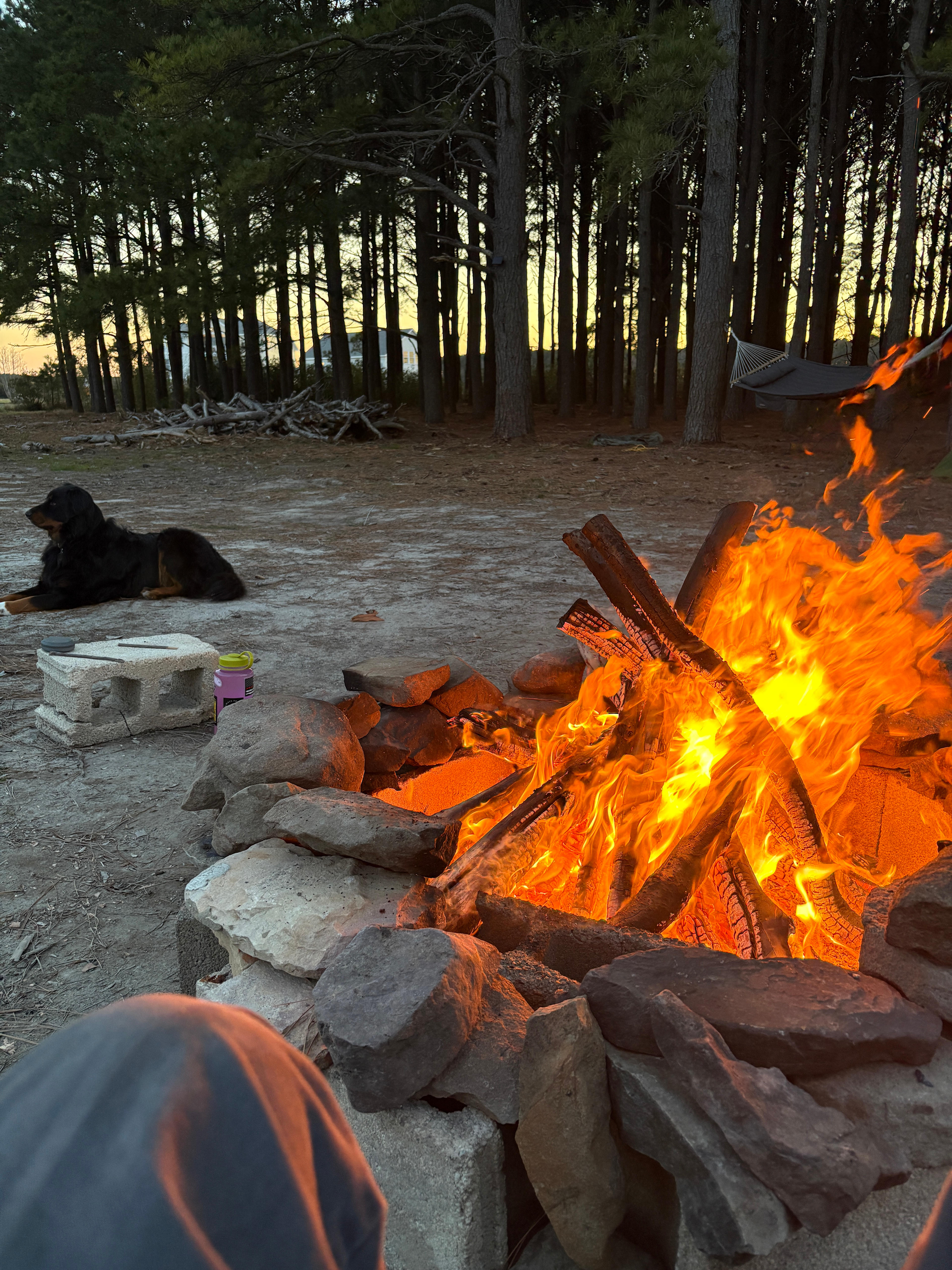 MARSH DUCK WAY CONSERVATION CAMP