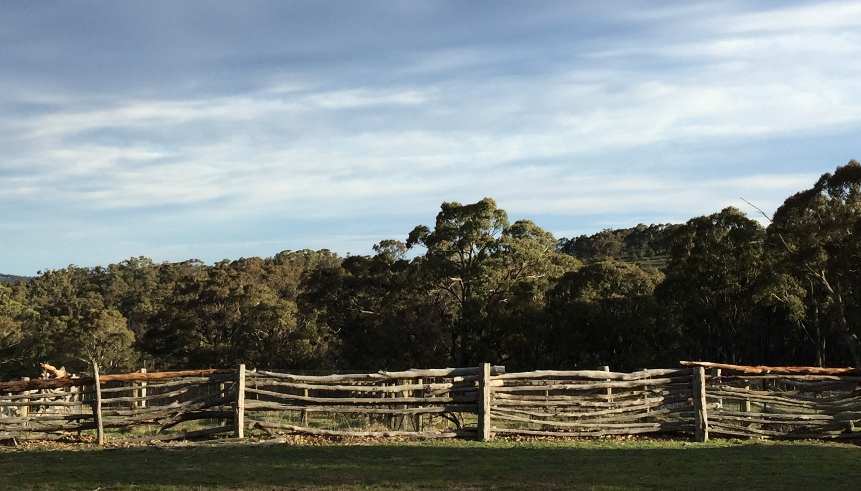 Friedl's Camp