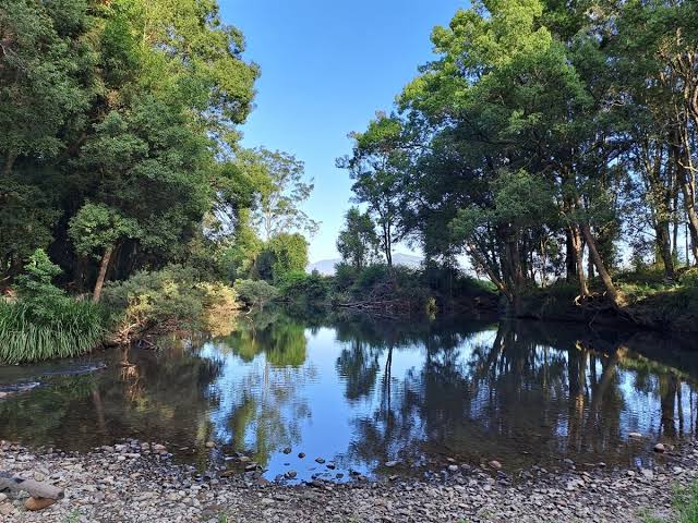 Fifth Ridge Ranch and Farm Stay