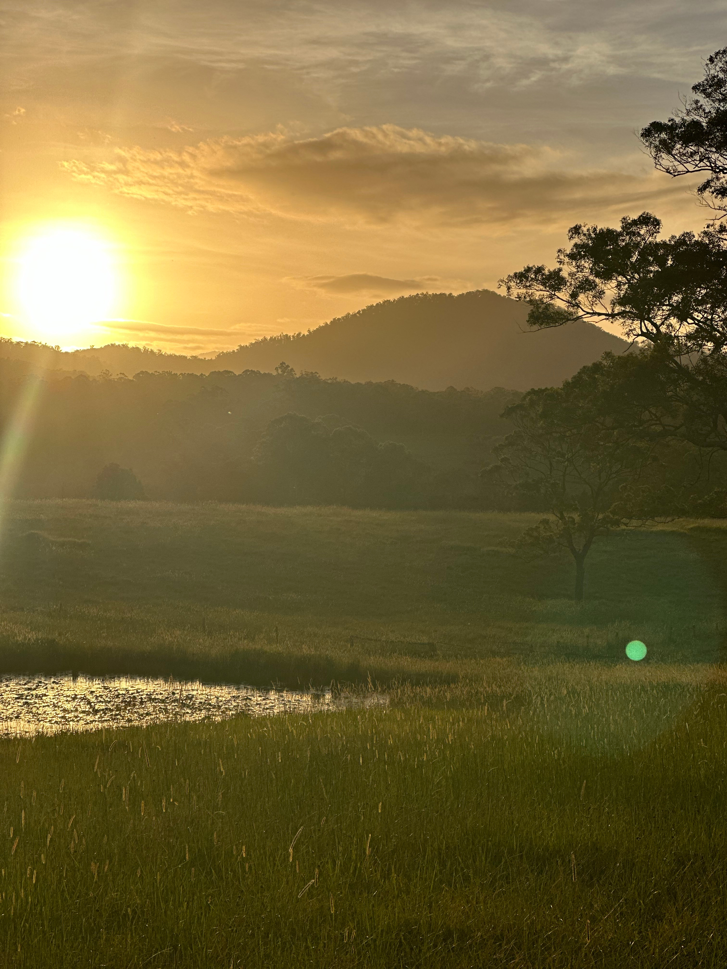 The Plains Ranch and Farm Stay