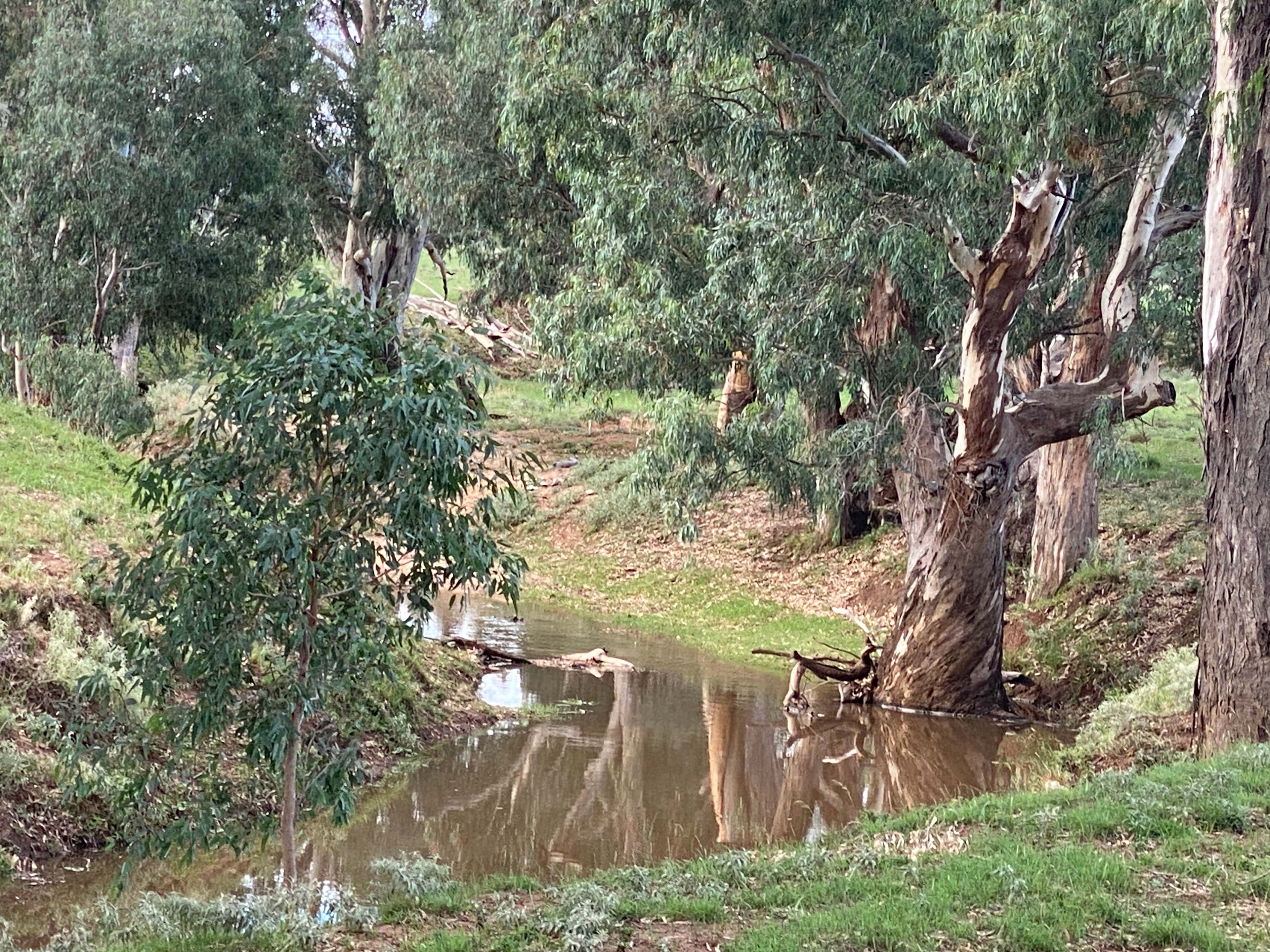 Bushland Bliss Retreat