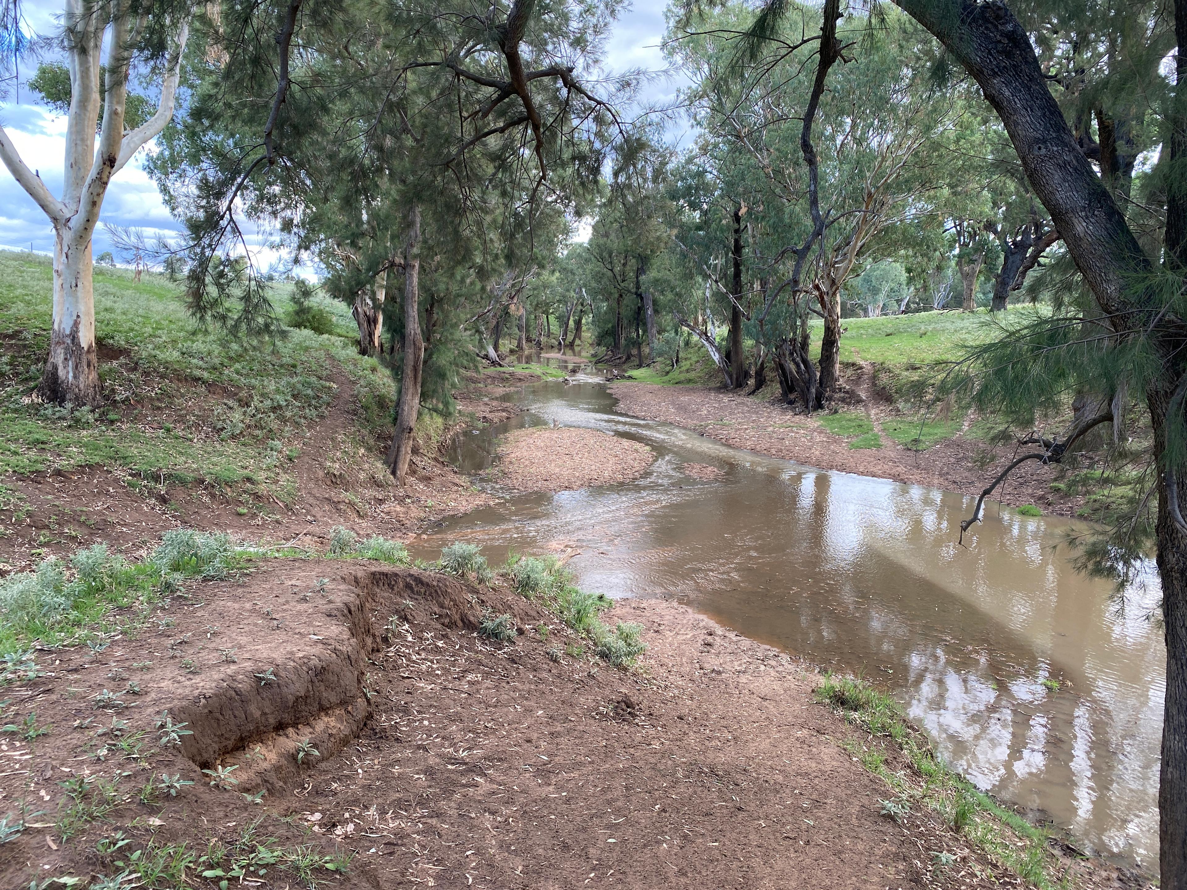 Bushland Bliss Retreat