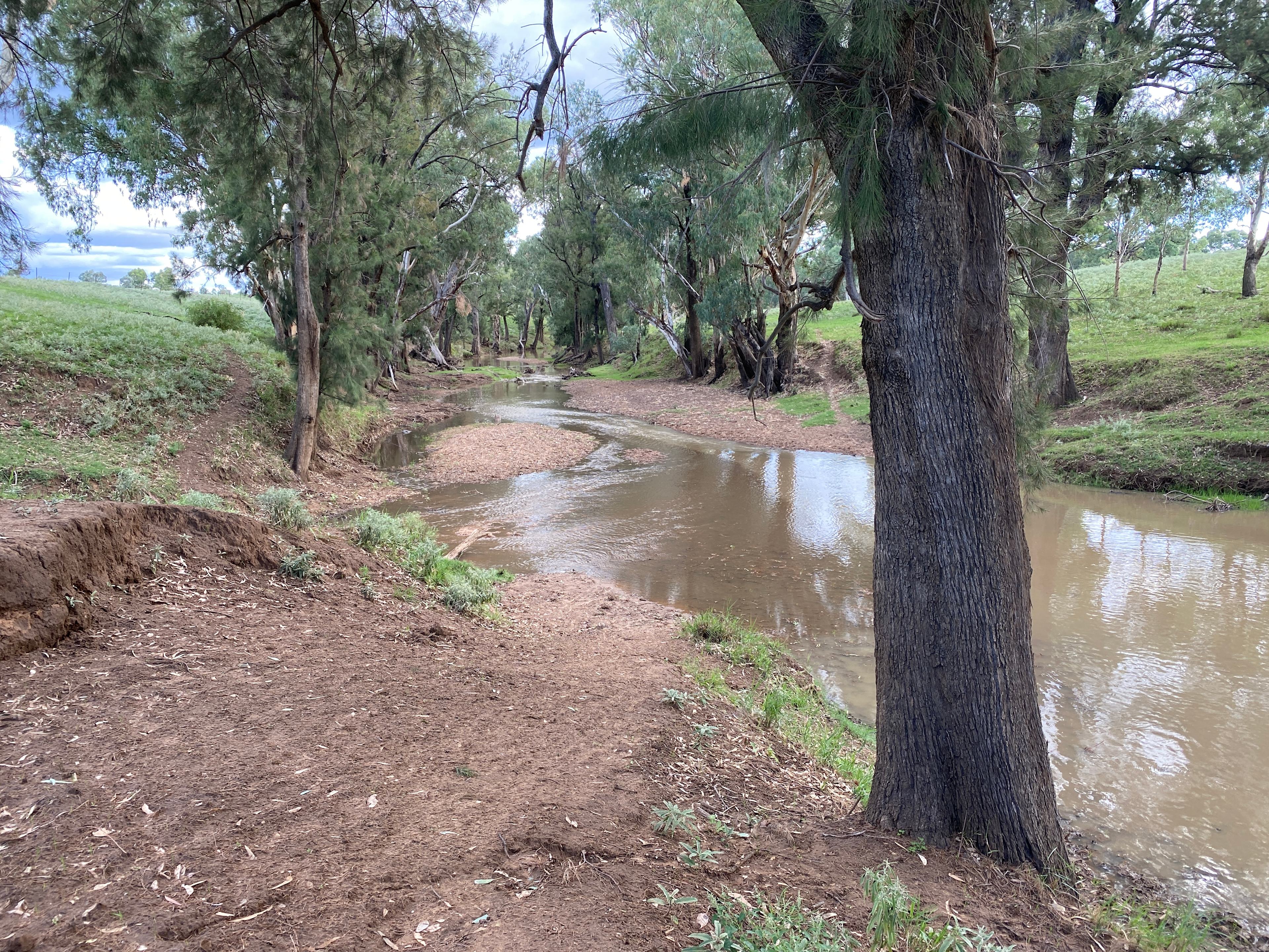 Bushland Bliss Retreat