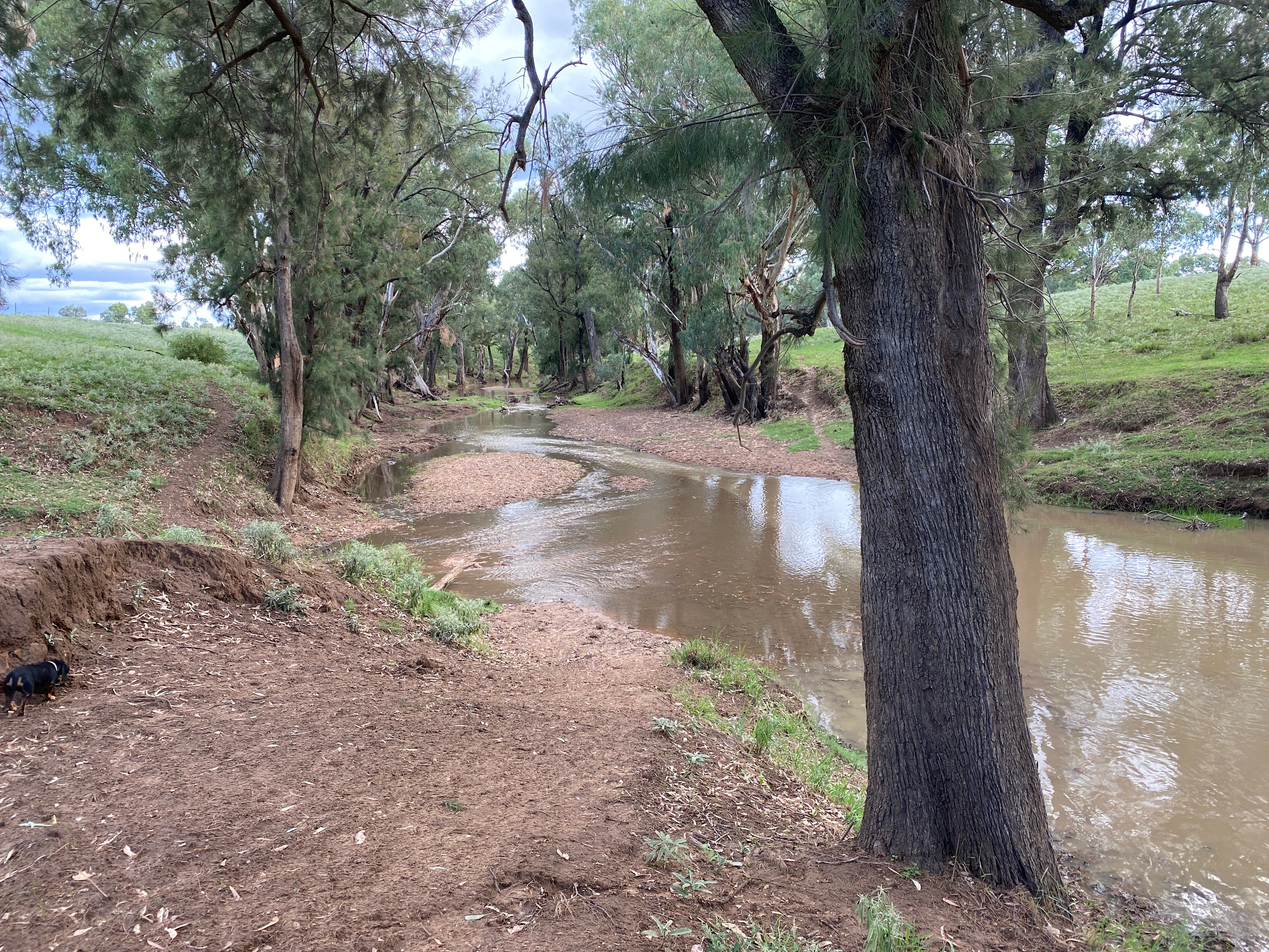 Bushland Bliss Retreat